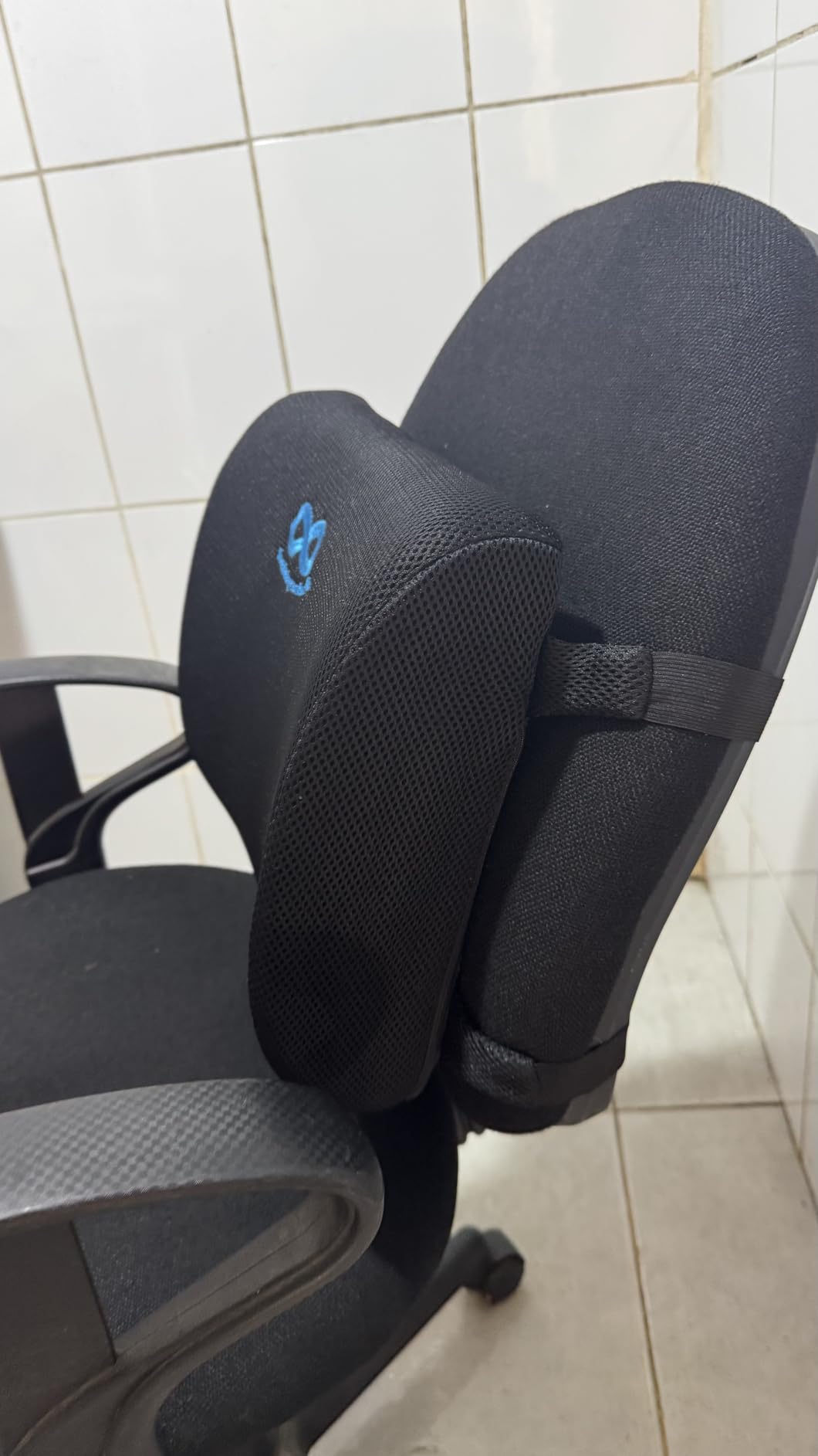 Everlasting Comfort Lumbar Support Pillow for Office Chair - Memory Foam Back Cushion for Chair, Car, Couch - Lumbar Pillow Promotes Better Posture, Back Pain Relief - Ideal for Gaming and Desk Chairs - Customer Photo 1