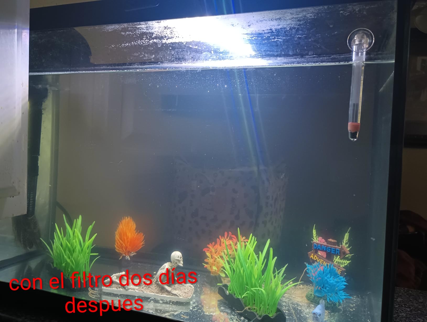 Tetra Whisper IQ Power Filter 45 Gallons, 215 GPH, With Stay Clean Technology - Customer Photo 1