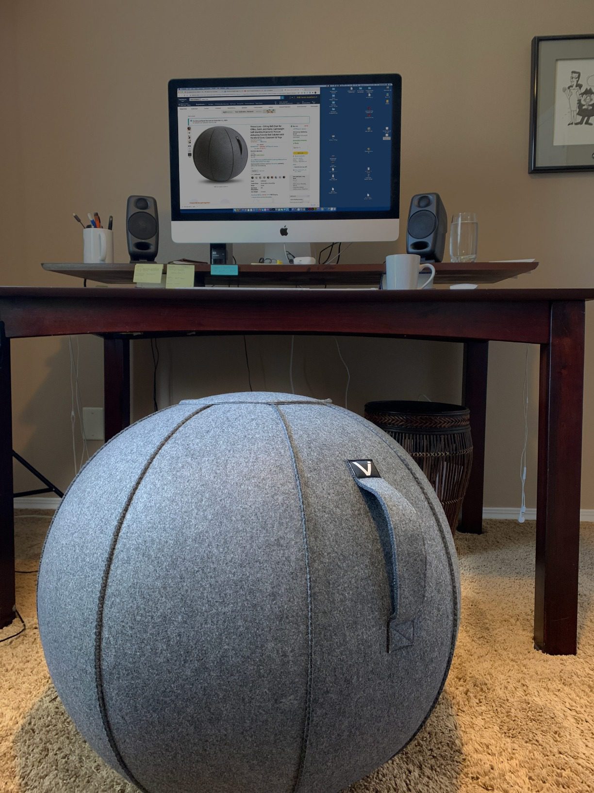 Vivora Luno Premium Ergonomic Sitting Ball Chair, Felt, Standard Size (22 to 24 inches), for Home Offices, Balance Training, Yoga Ball, Posture Improvement - Customer Photo 1