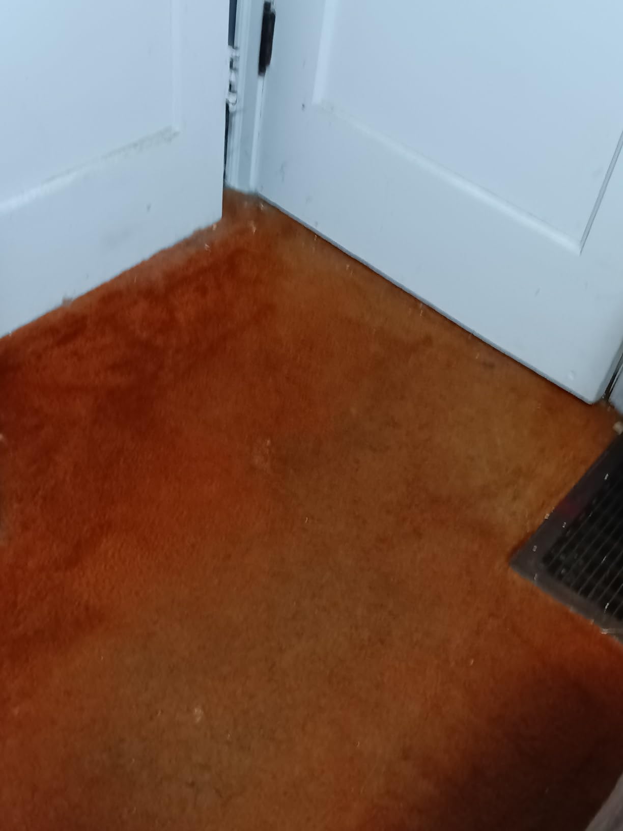 BLACK+DECKER Carpet Sweeper 50 Minute Lithium Floor Sweeper, Multi-Surface Use, Easy One Hand Cleaning, Self Standing, Charger Included (HFS115J10) - Customer Photo 1