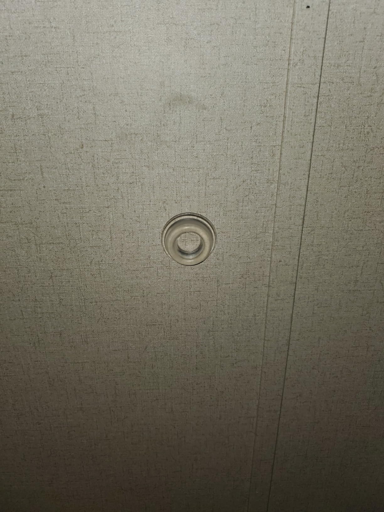 Door Stopper Wall Protector [4 Pack] - Clear Self Adhesive Rubber Door Bumpers. Prevent Damage to Walls from Door Knobs Handles - Customer Photo 3