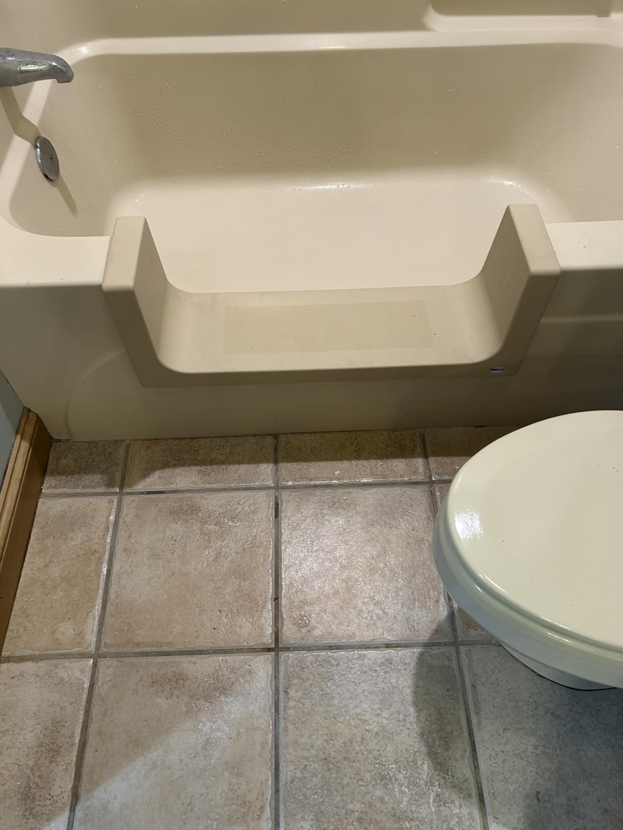CleanCut Step Bathtub Accessibility Kit - Convert Existing Tub to Step-In Shower (Beige, Size Large) - Customer Photo 1