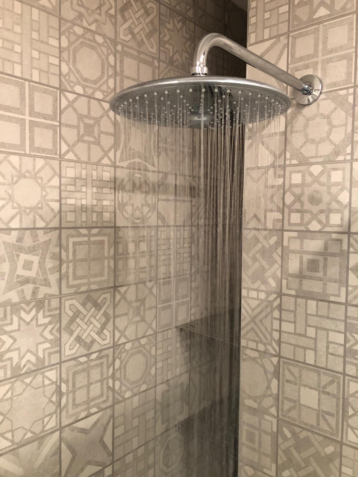 GROHE 26457000 Euphoria 260 Shower Head with 3 Spray Patterns, 2.5 gpm, Starlight Chrome, 10 Inches - Customer Photo 2