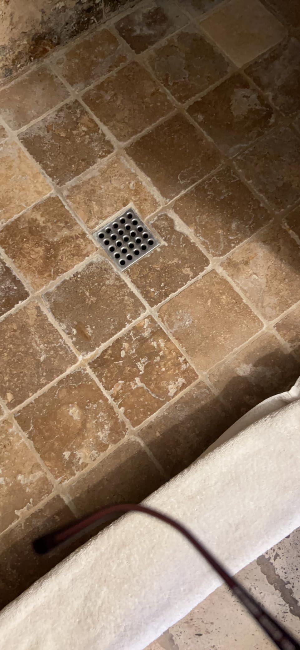 Green Gobbler Enzyme Drain Cleaner | Controls Foul Odors & Breaks Down Grease, Paper, Fat & Oil in Sewer Lines, Septic Tanks & Grease Traps | 1 Gallon - Customer Photo 4