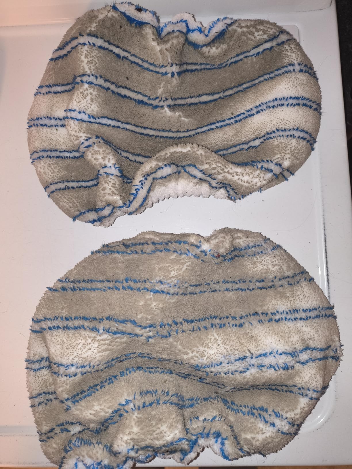 Rejuvenate Luxury Vinyl Floor Cleaner Refill, 1 Gallon, Gently Cleans and Revitalizes Luxury Vinyl Floors Customer Review Rejuvenate Luxury Vinyl Floor Cleaner Refill, 1 Gallon, Gently Cleans and Revitalizes Luxury Vinyl Floors - Customer Photo 2