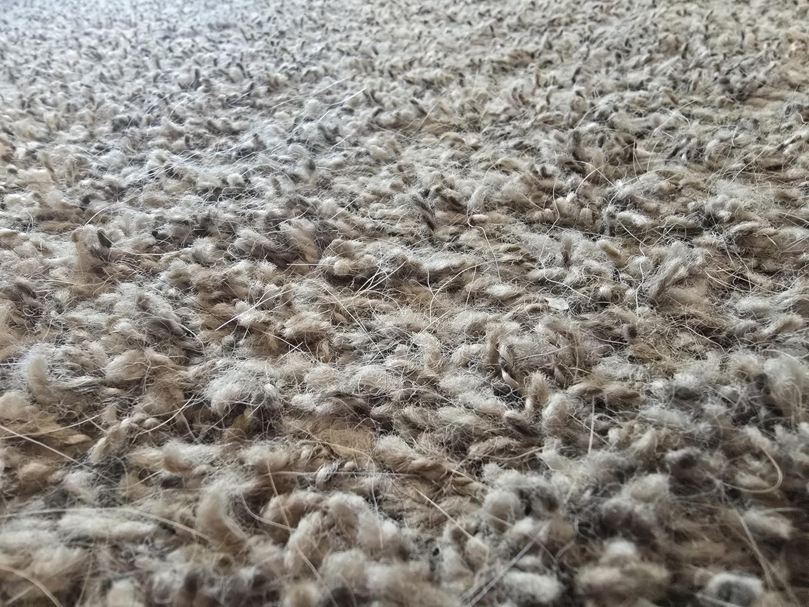 BISSELL 2252 CleanView Swivel Upright Bagless Vacuum with Swivel Steering, Powerful Pet Hair Pick Up, Specialized Pet Tools, Large Capacity Dirt Tank, Easy Empty - Customer Photo 1