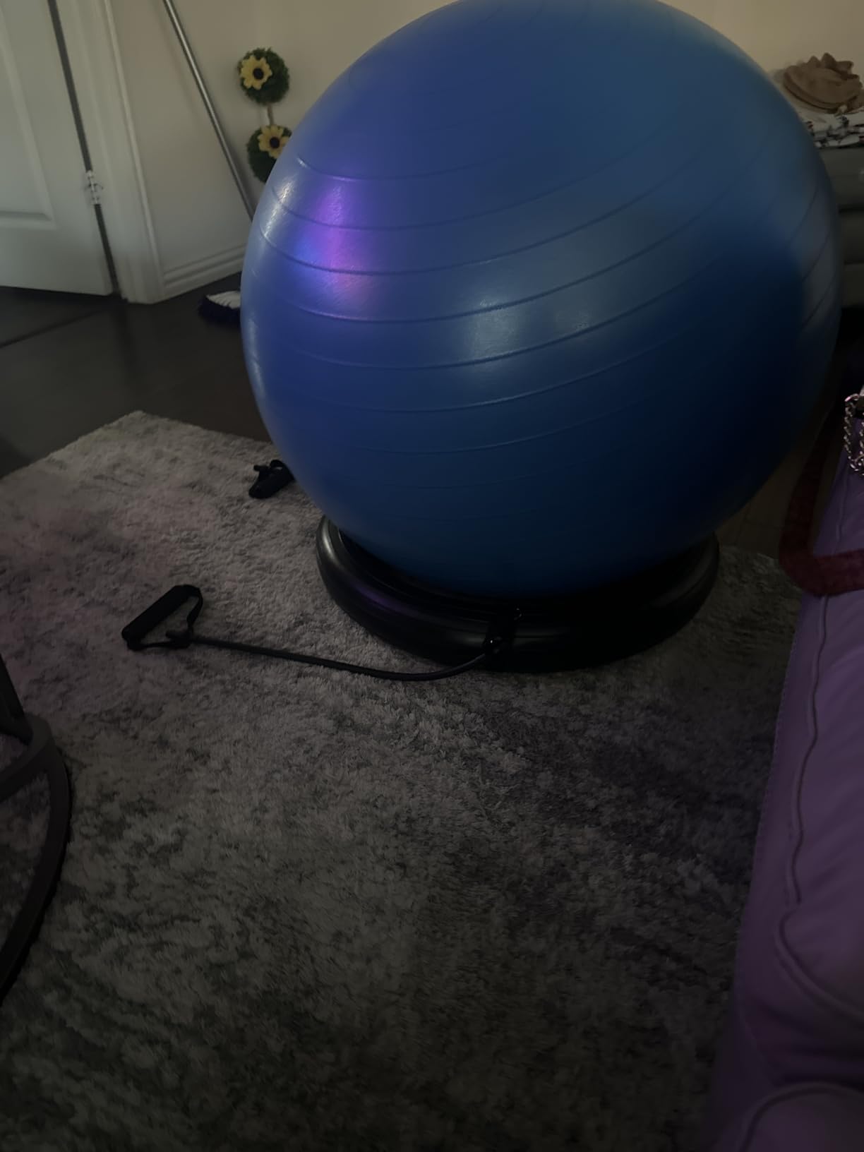 ProBody Pilates Yoga Ball Chair, Exercise Ball Chair with Base or Stand for Home Office Desk Sitting or Workout, 65cm Antiburst Balance & Stability Ball Seat, Large Gym Ball for Back, Abs - Customer Photo 1