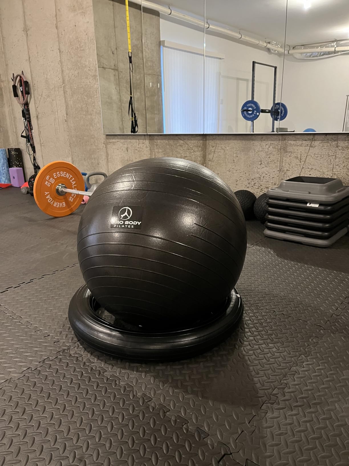 ProBody Pilates Yoga Ball Chair, Exercise Ball Chair with Base or Stand for Home Office Desk Sitting or Workout, 65cm Antiburst Balance & Stability Ball Seat, Large Gym Ball for Back, Abs - Customer Photo 2