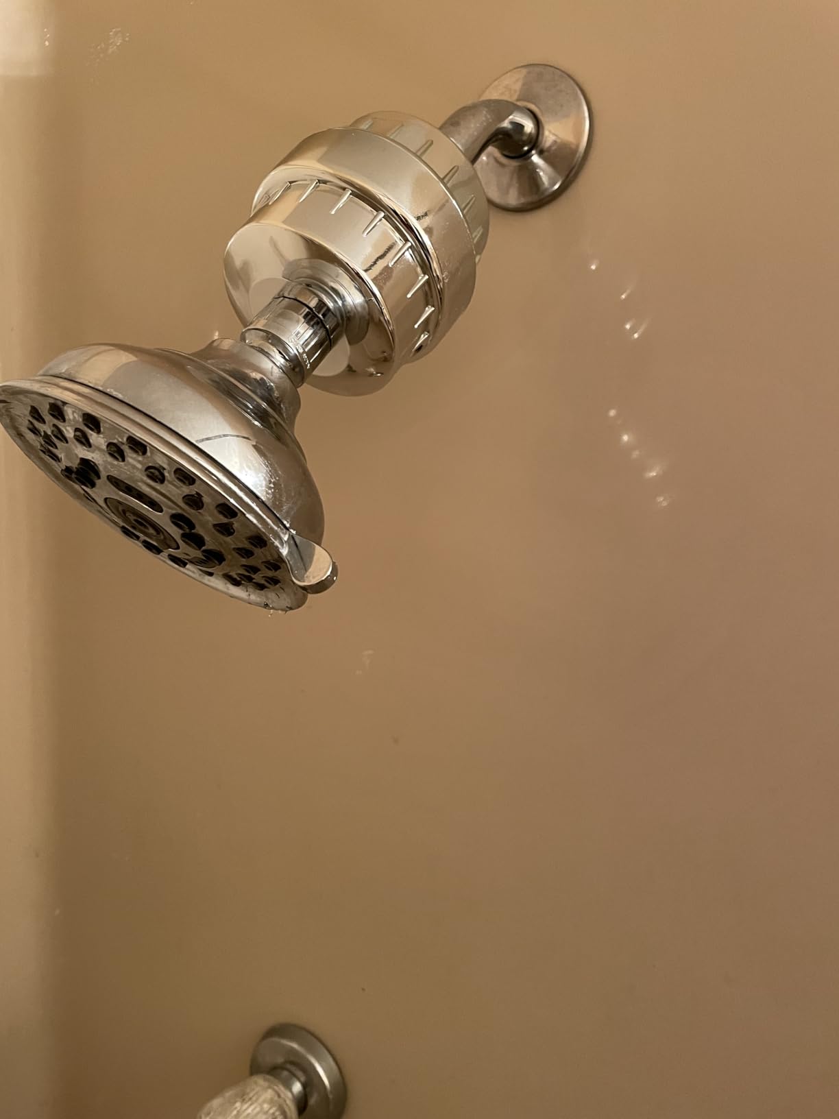 Aqua Earth Shower Filter For Hard Water Removes Chlorine Fluoride Harmful Substances Organics Other Sediments Shower Head Filter High Output Vitamin C For Hair and Nails - Customer Photo 2