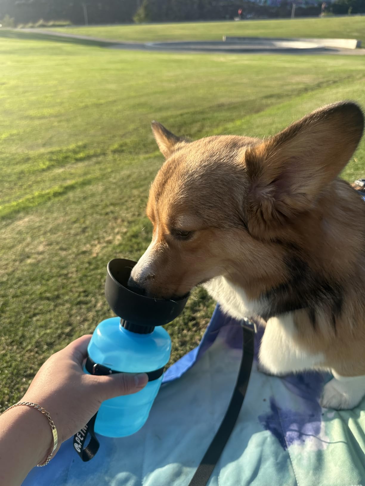 lesotc Dog Water Bottle, Portable Water Dispenser with Bowl, Leak Proof Pet Travel Squeeze Bottle, Puppy Essentials Dog Stuff Accessories for Outdoor Walking, Hiking, Camping - Customer Photo 1