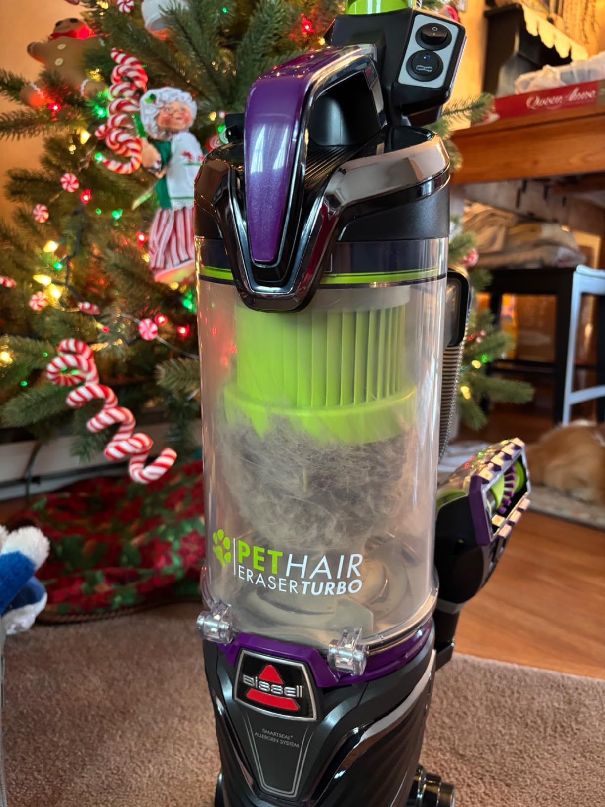 BISSELL 24613 Pet Hair Eraser Turbo Plus Lightweight Vacuum, Tangle-Free Brush Roll, Powerful Pet Hair Pick-up, SmartSeal Allergen System, Specialized Pet Tools, Easy Empty Dirt Tank - Customer Photo 2