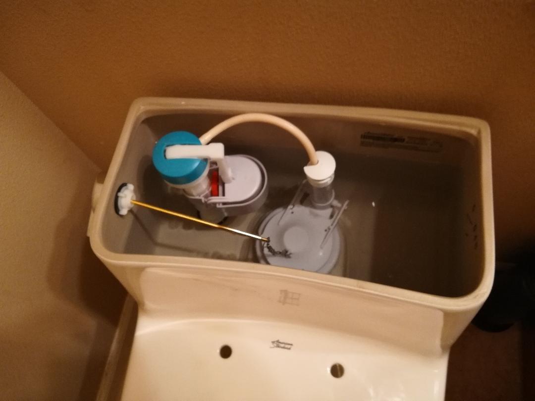 American Standard Colony One-Piece Toilet with Seat, Chair Height, Elongated Front, White, 1.28 GPF Customer Review American Standard Colony One-Piece Toilet with Seat, Chair Height, Elongated Front, White, 1.28 GPF - Customer Photo 2