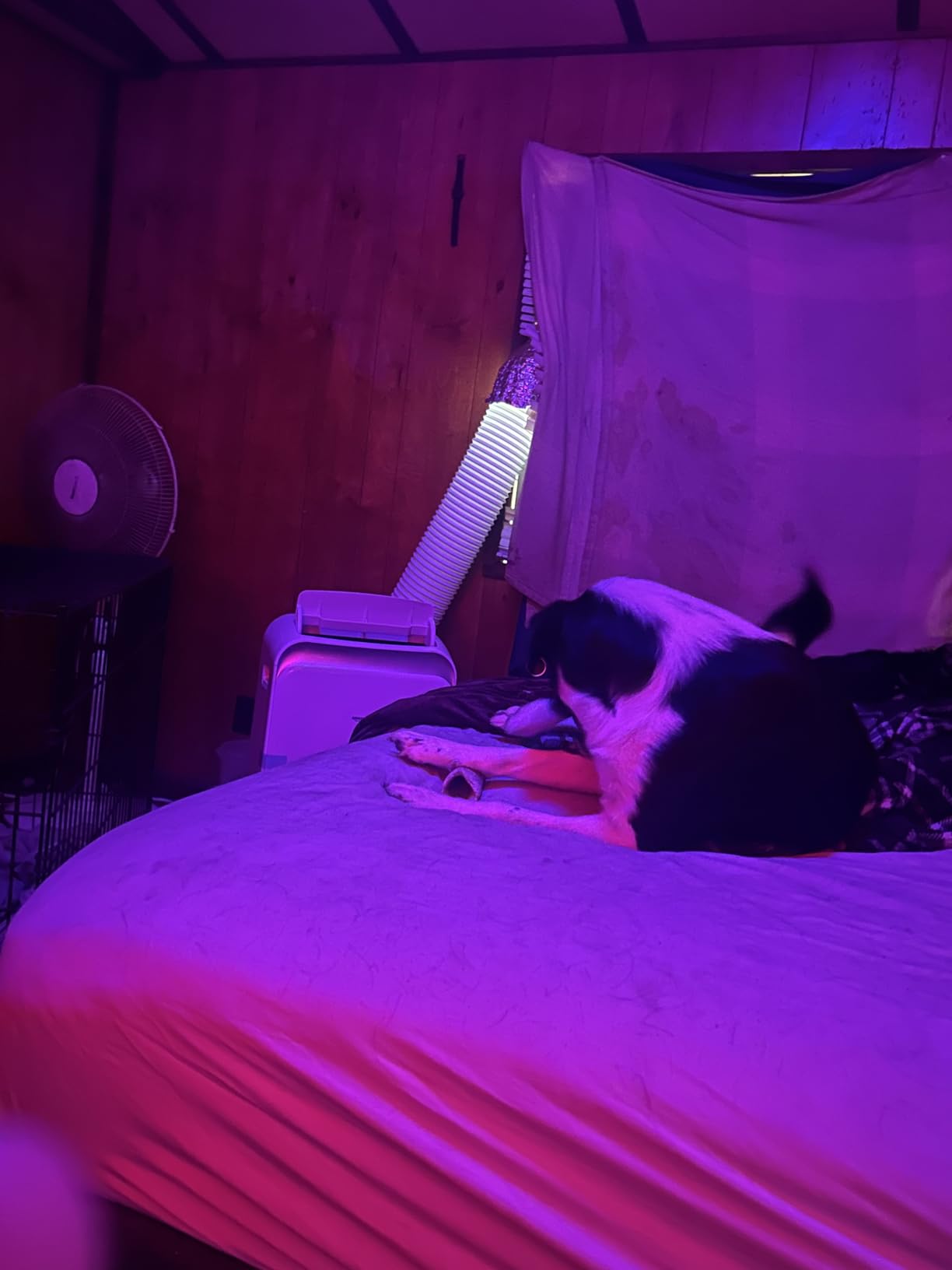 Amazon Basics 4-In-1 Portable Air Conditioner, 13500 BTU (ASHRAE), Cools Up to 550 Sqf, Portable AC with Cool/Heat/Dry (Dehumidifier)/Fan-Only Functions, Auto Mode, Sleep Mode, Timer, White Customer Review Amazon Basics 4-In-1 Portable Air Conditioner, 13500 BTU (ASHRAE), Cools Up to 550 Sqf, Portable AC with Cool/Heat/Dry (Dehumidifier)/Fan-Only Functions, Auto Mode, Sleep Mode, Timer, White - Customer Photo 2