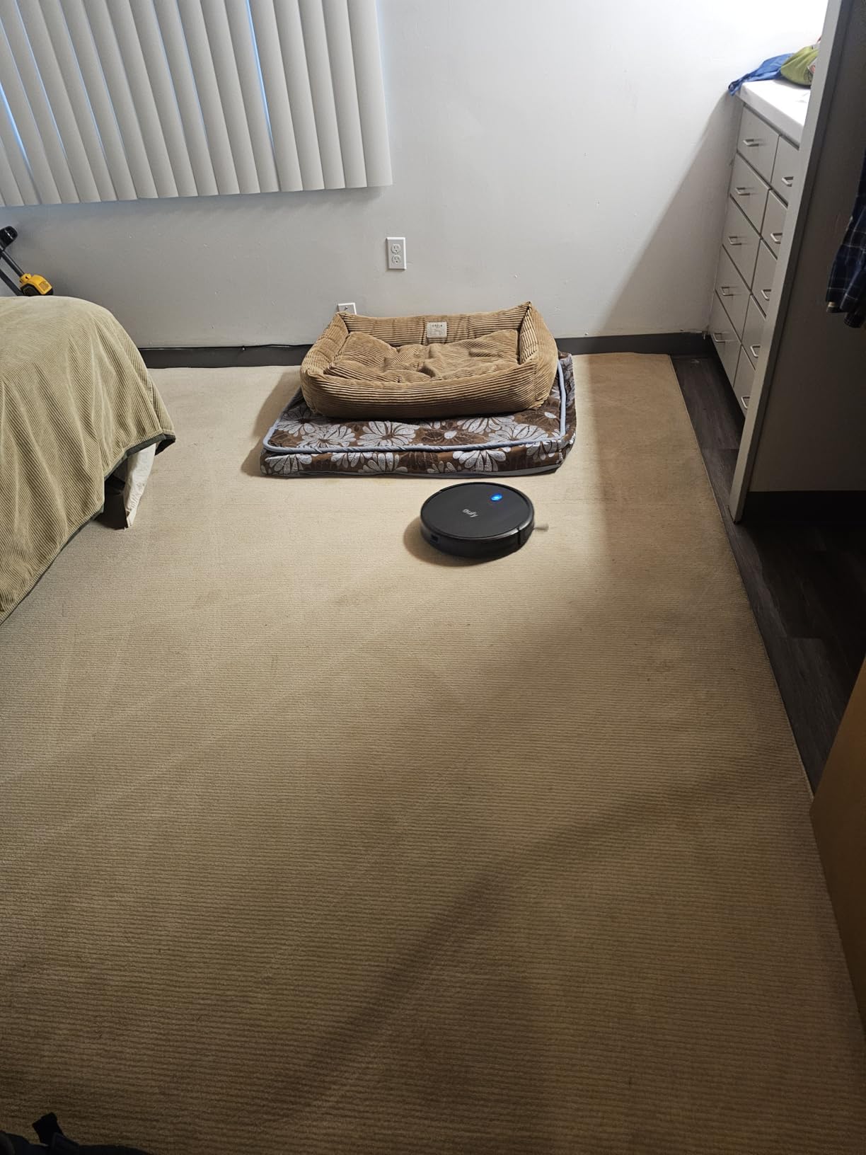 eufy Like-New BoostIQ RoboVac 11S MAX, Robot Vacuum Cleaner, Super-Thin, Powerful Suction, Quiet, Self-Charging Robotic Vacuum Cleaner, Cleans Hard Floors to Medium-Pile Carpets, Black (Renewed) - Customer Photo 1