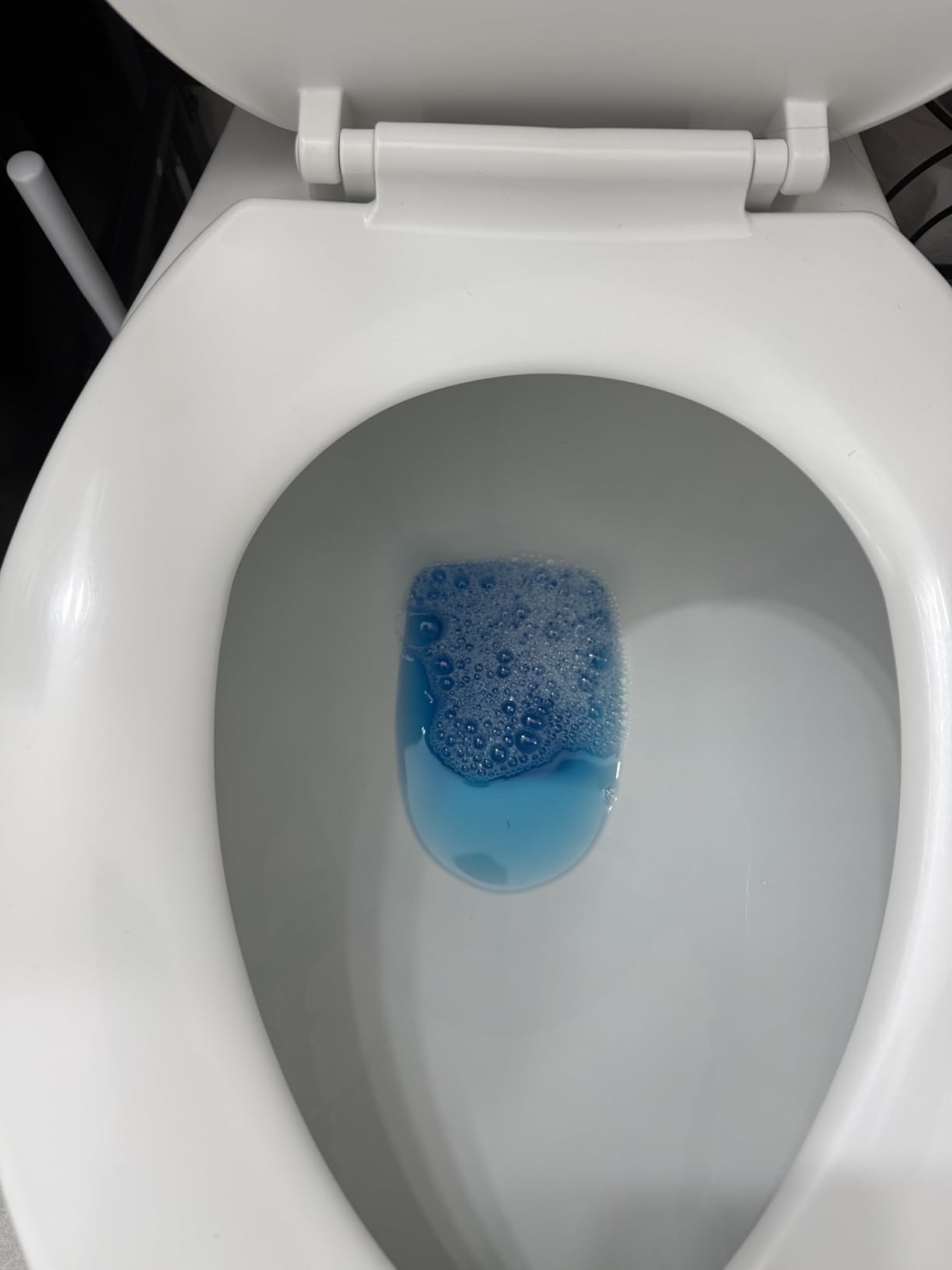 Vacplus Automatic Toilet Bowl Cleaner Tablets, Bathroom Toilet Tank Cleaner (12 PACK), VA-T165 Customer Review Vacplus Automatic Toilet Bowl Cleaner Tablets, Bathroom Toilet Tank Cleaner (12 PACK), VA-T165 - Customer Photo 2