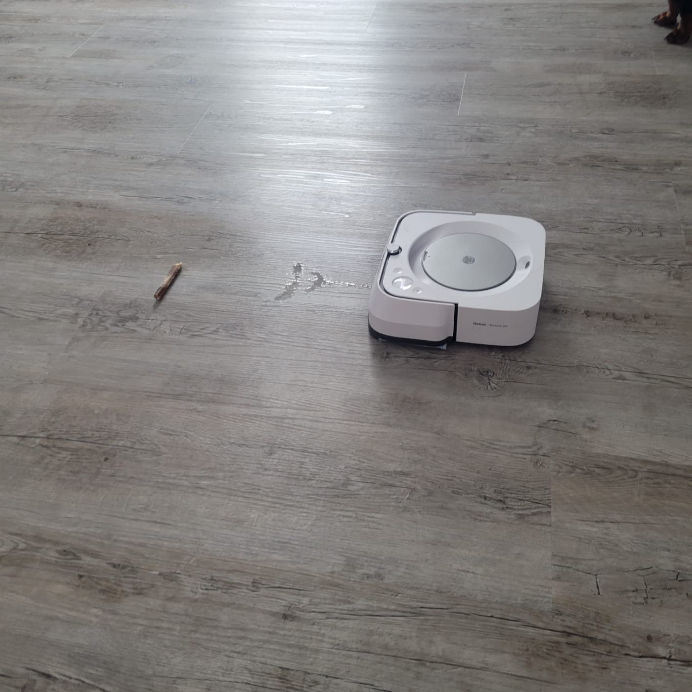 MORE Luxury Vinyl Floor Cleaner for Vinyl Plank Flooring - Ready to Use, Daily Cleaning Formula Customer Review MORE Luxury Vinyl Floor Cleaner for Vinyl Plank Flooring - Ready to Use, Daily Cleaning Formula - Customer Photo 2