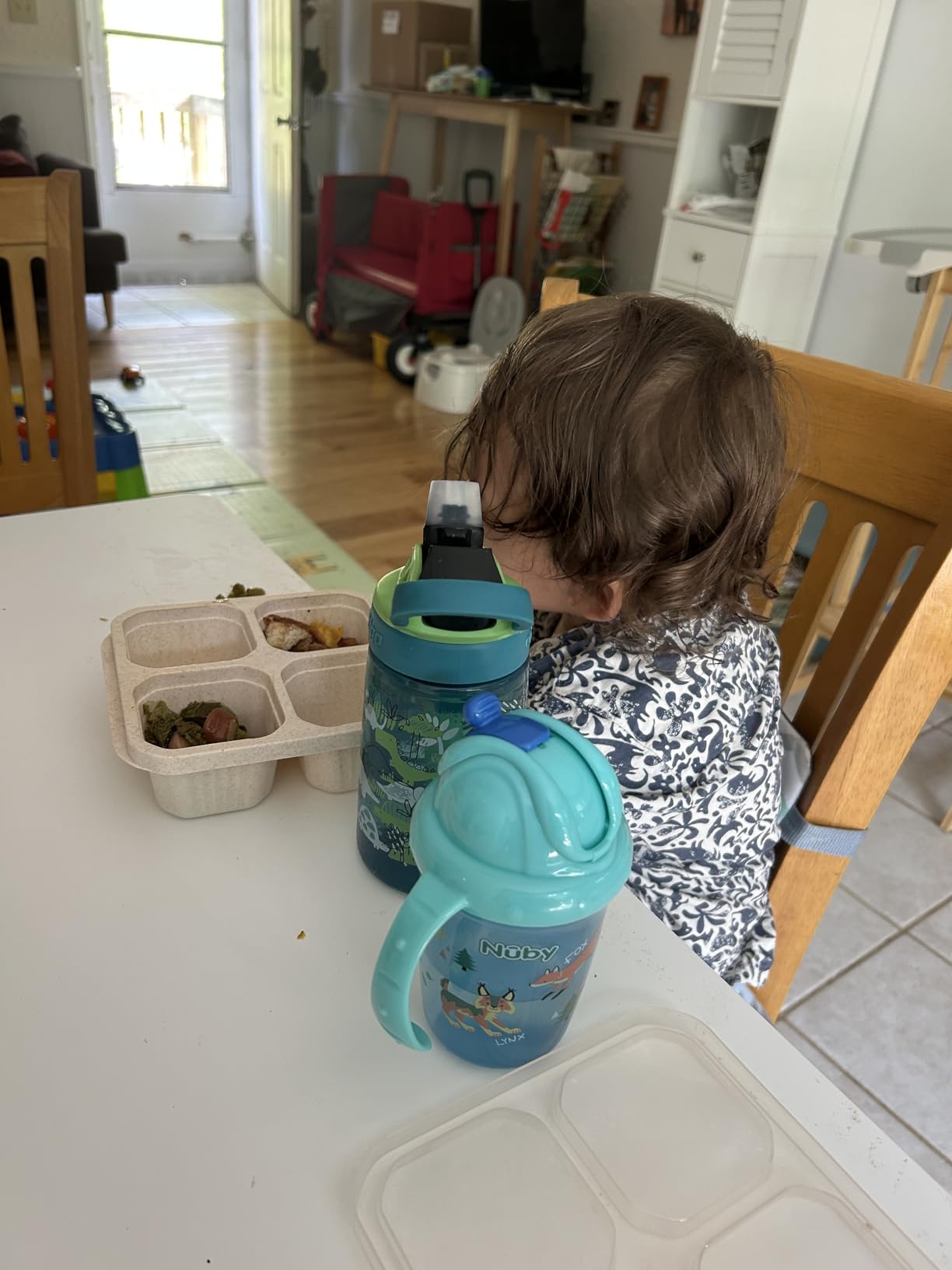 Contigo Aubrey Kids Water Bottle, 2-Pack, 14oz, Dinos & Sharks, Spill-Proof Lid, Dishwasher Safe, Blue & Green - Customer Photo 2