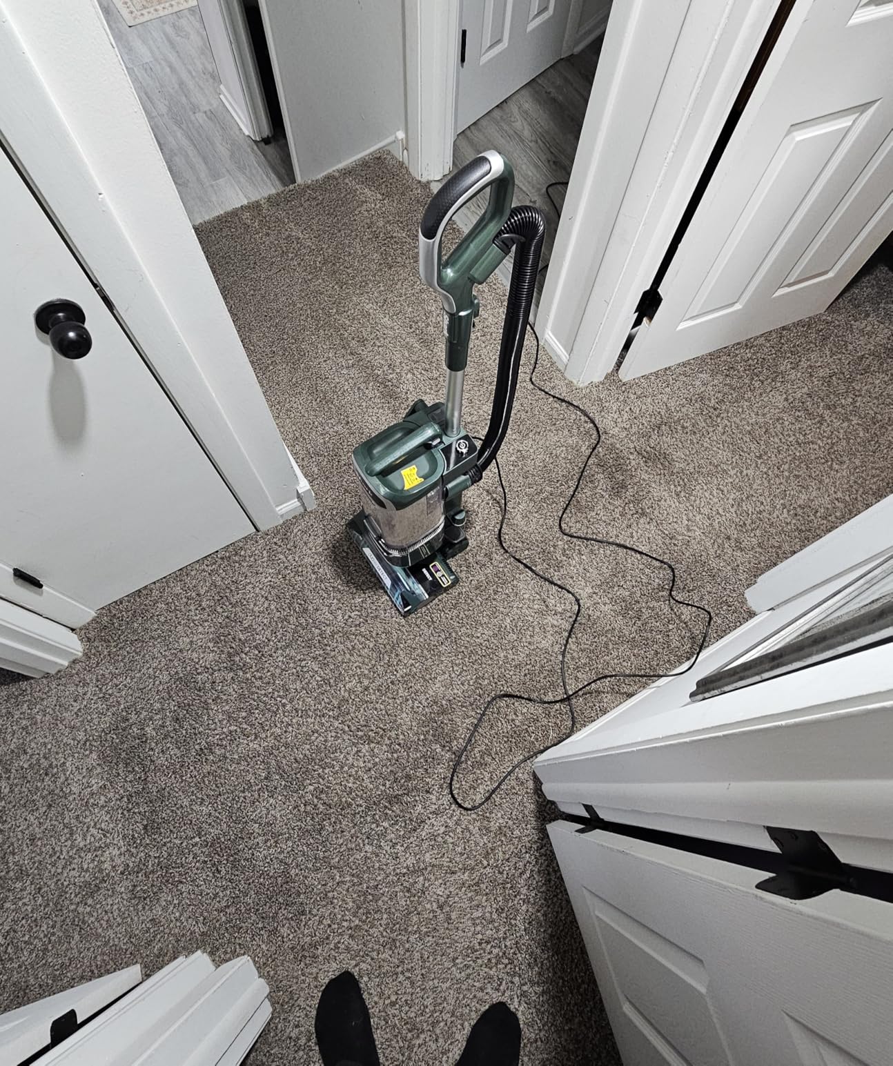 Shark | Upright Vacuum Cleaner for Home | Rotator Lift-Away | No Hair Wrap | HEPA Filter | Lightweight Bagless Vacuum for Pet Hair | LED Headlights For Carpets & Hardwood Floors | Silver | LA502 - Customer Photo 1