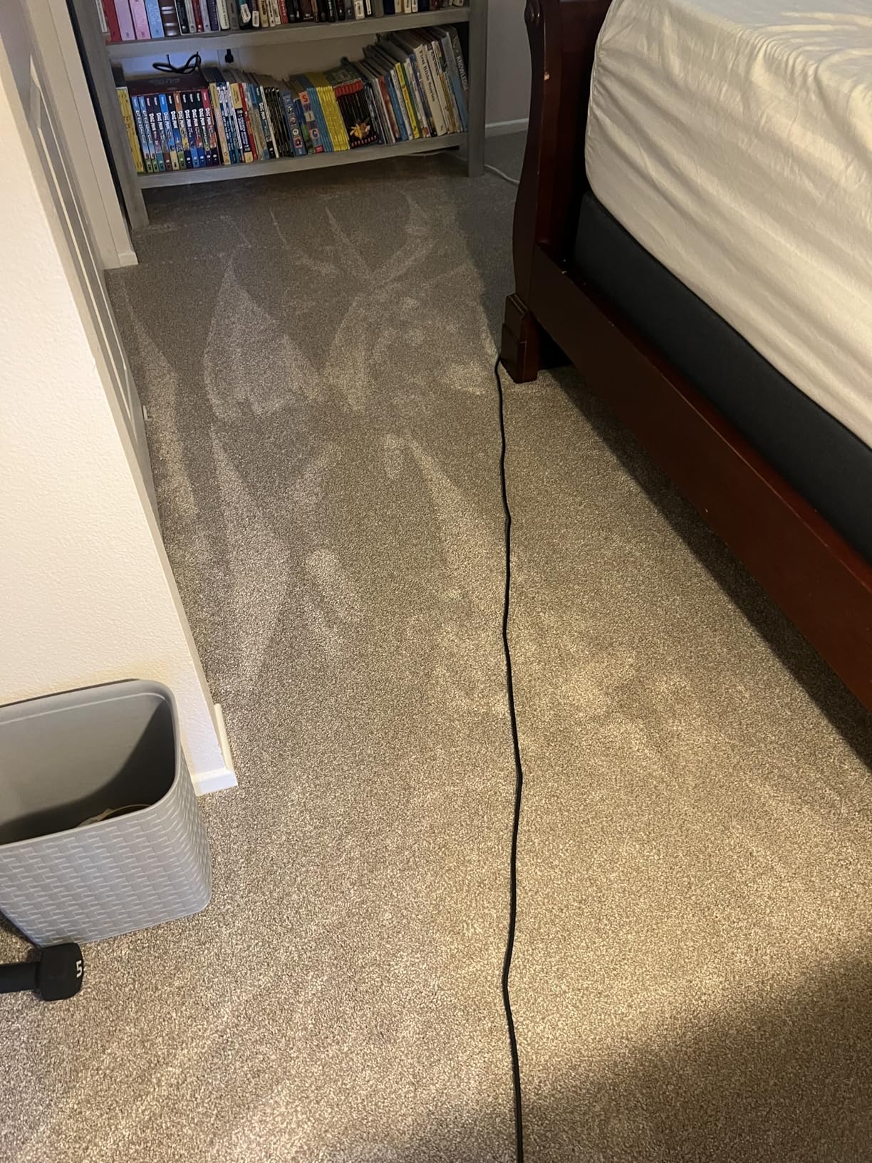Shark | Upright Vacuum Cleaner for Home | Rotator Lift-Away | No Hair Wrap | HEPA Filter | Lightweight Bagless Vacuum for Pet Hair | LED Headlights For Carpets & Hardwood Floors | Silver | LA502 - Customer Photo 3