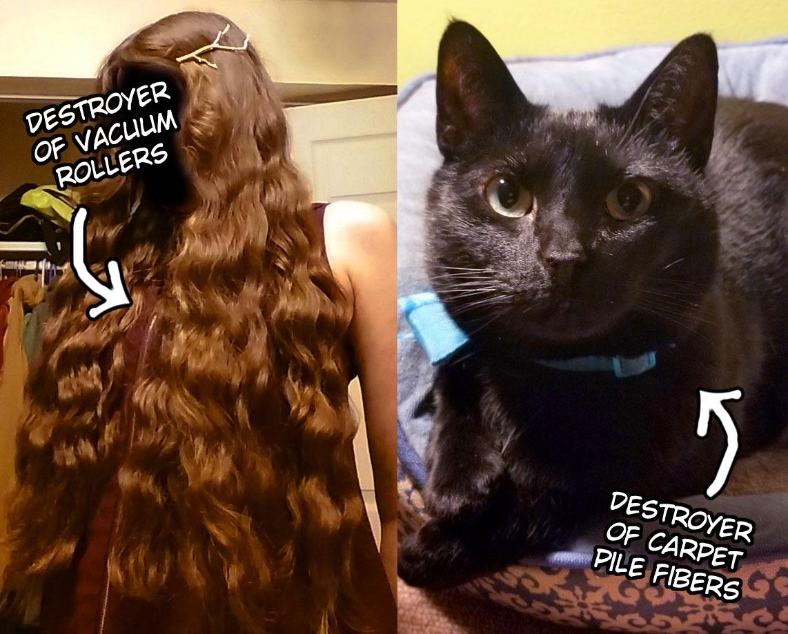 Shark | Corded Stick Vacuum Cleaner | Vertex Ultralight | Removable Handheld Vacuum | Pet Hair Vacuum for Carpet and Hard Floor | Powerful Suction | No Hair Wrap | 3 Attachments Included | HZ2002 Customer Review Shark | Corded Stick Vacuum Cleaner | Vertex Ultralight | Removable Handheld Vacuum | Pet Hair Vacuum for Carpet and Hard Floor | Powerful Suction | No Hair Wrap | 3 Attachments Included | HZ2002 - Customer Photo 1