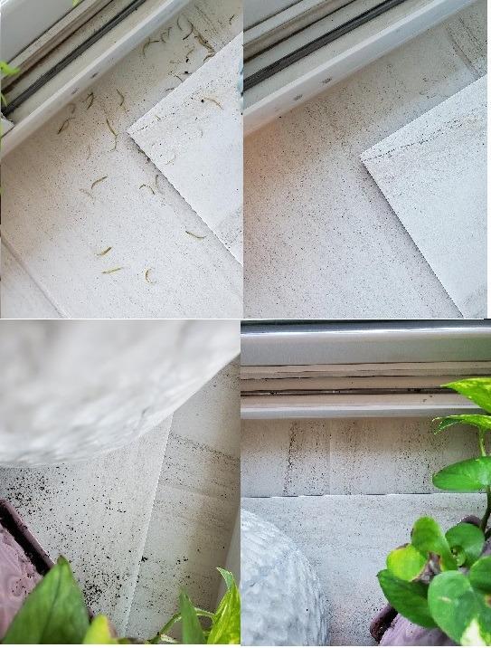 Vacmaster Corded Stick Vacuum Cleaner 2 in 1 Ultra-Lightweight 14Kpa Power Suction Handheld Vacuum Cleaner with Washable HEPA Filter for Home, Car, Pet Hair, Carpet, Hard Floor Customer Review Vacmaster Corded Stick Vacuum Cleaner 2 in 1 Ultra-Lightweight 14Kpa Power Suction Handheld Vacuum Cleaner with Washable HEPA Filter for Home, Car, Pet Hair, Carpet, Hard Floor - Customer Photo 1