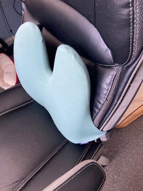 C CUSHION LAB Extra Dense Lumbar Pillow - Patented Ergonomic Multi-Region Firm Back Support for Lower Back Pain Relief - Lumbar Support Cushion with Strap for Office Chair, Car, Sofa, Plane - Black - Customer Photo 5