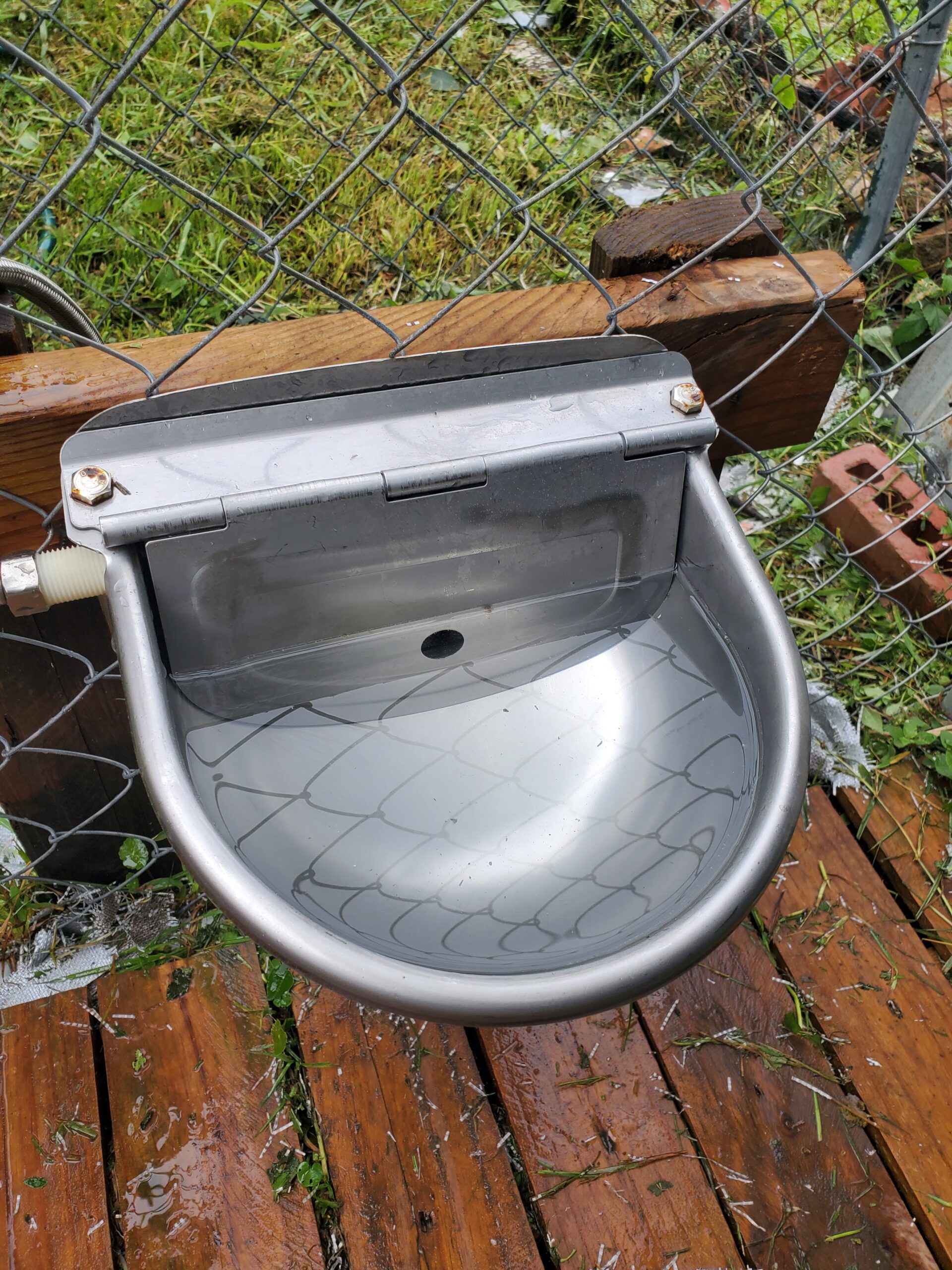 304 Stainless Steel Automatic Livestock Waterer with Float Valve and 39 inch Water Hose(one end 3/4''), Automatic Animal Water Bowl for Dogs,Horse,Calf,Chicken,Goat, Livestock Horse Waterer Dispenser - Customer Photo 1