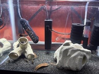 NICREW Aquarium Internal Filter, Submersible Power Filter with Multiple Function for Fish Tanks 5-10 Gallon, 53 GPH, 5W - Customer Photo 2