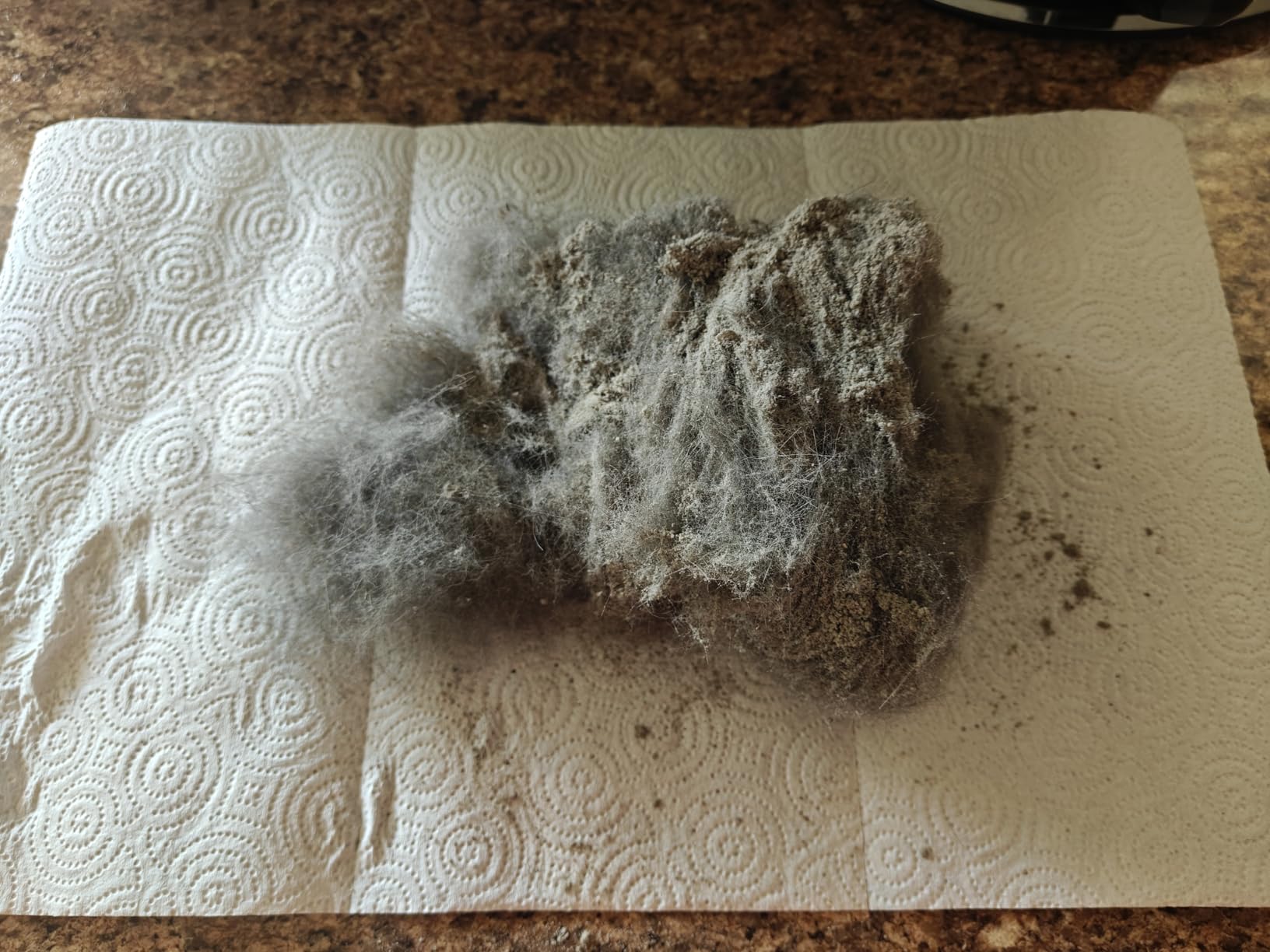 Eureka NEU10AE5 Powerful Bagless Upright Vacuum Cleaner Carpet and Floor, AirSpeed Ultra-Lightweight Vacuum Cleaner, w/ Replacement Filter, Blue Customer Review Eureka NEU10AE5 Powerful Bagless Upright Vacuum Cleaner Carpet and Floor, AirSpeed Ultra-Lightweight Vacuum Cleaner, w/ Replacement Filter, Blue - Customer Photo 1