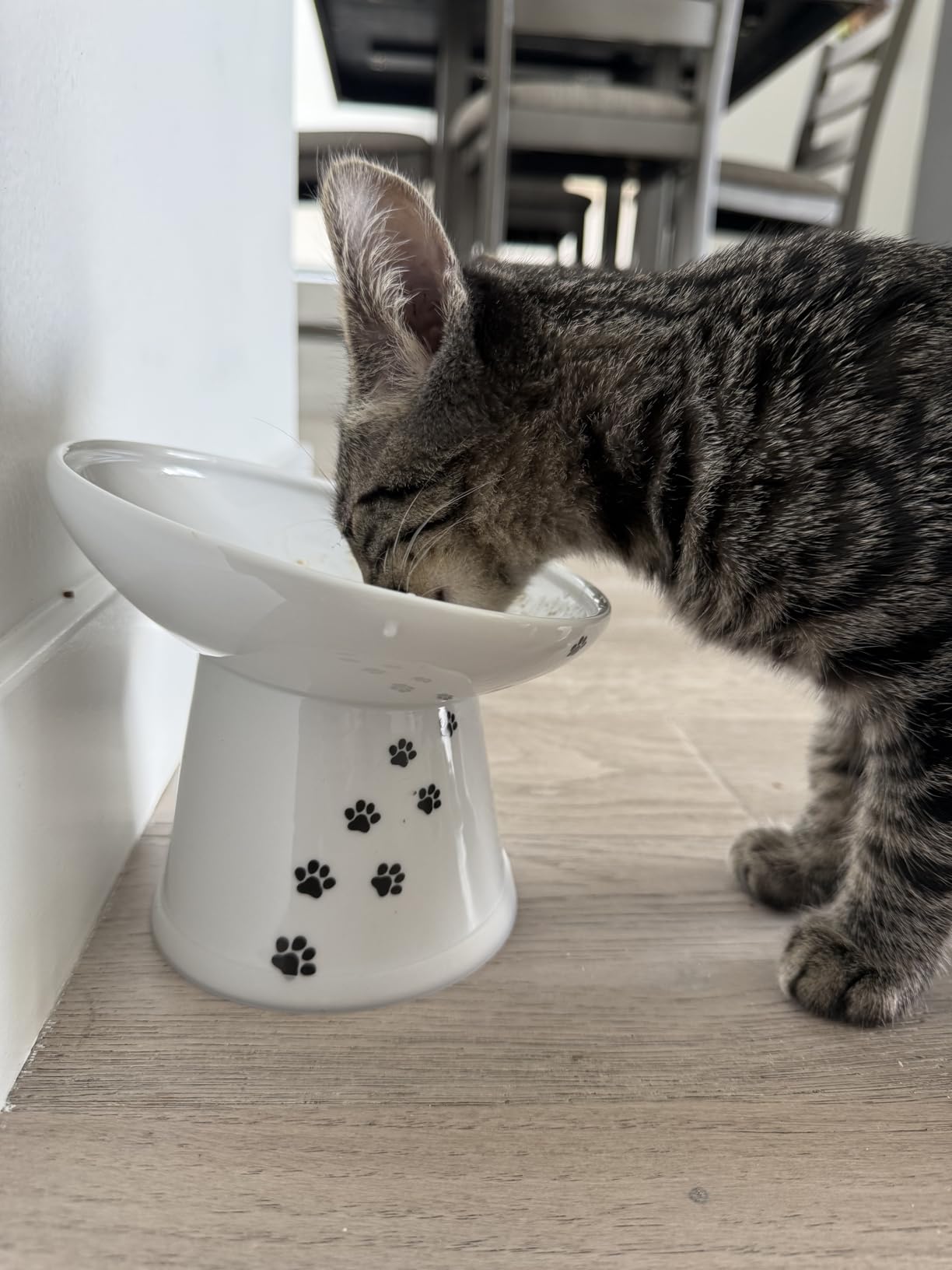 Necoichi Raised Cat Food Bowl – Ceramic Elevated 15° Tilted Cat Bowl for Whisker & Neck Fatigue, Dishwasher Microwave Safe – Non-Slip & Anti Vomiting Ergonomic Design (Cats, Extra Wide Tilted) - Customer Photo 2