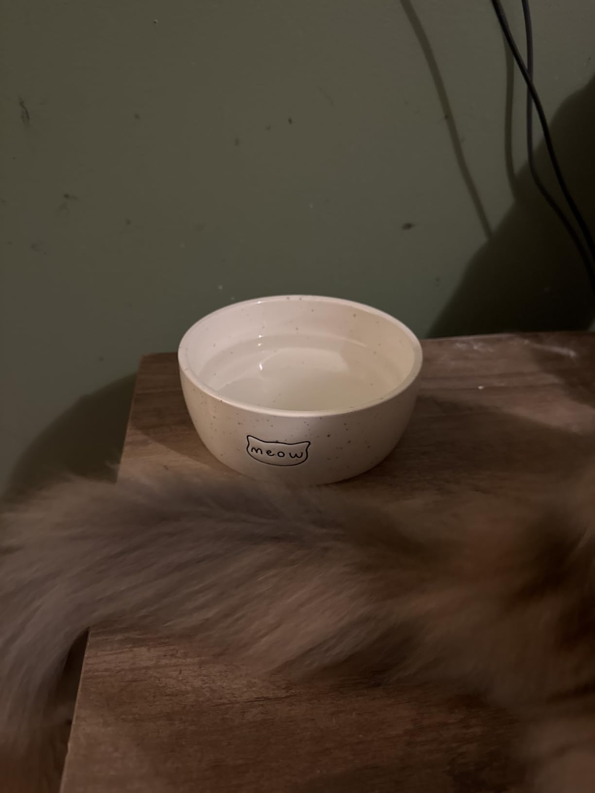 Pearhead Ceramic Bowl, Holds 2 Cups, Cute Whisker-Friendly Dish with Cat Face Design, Non-Slip, Microwave and Dishwasher Safe, Small/Medium - Customer Photo 2