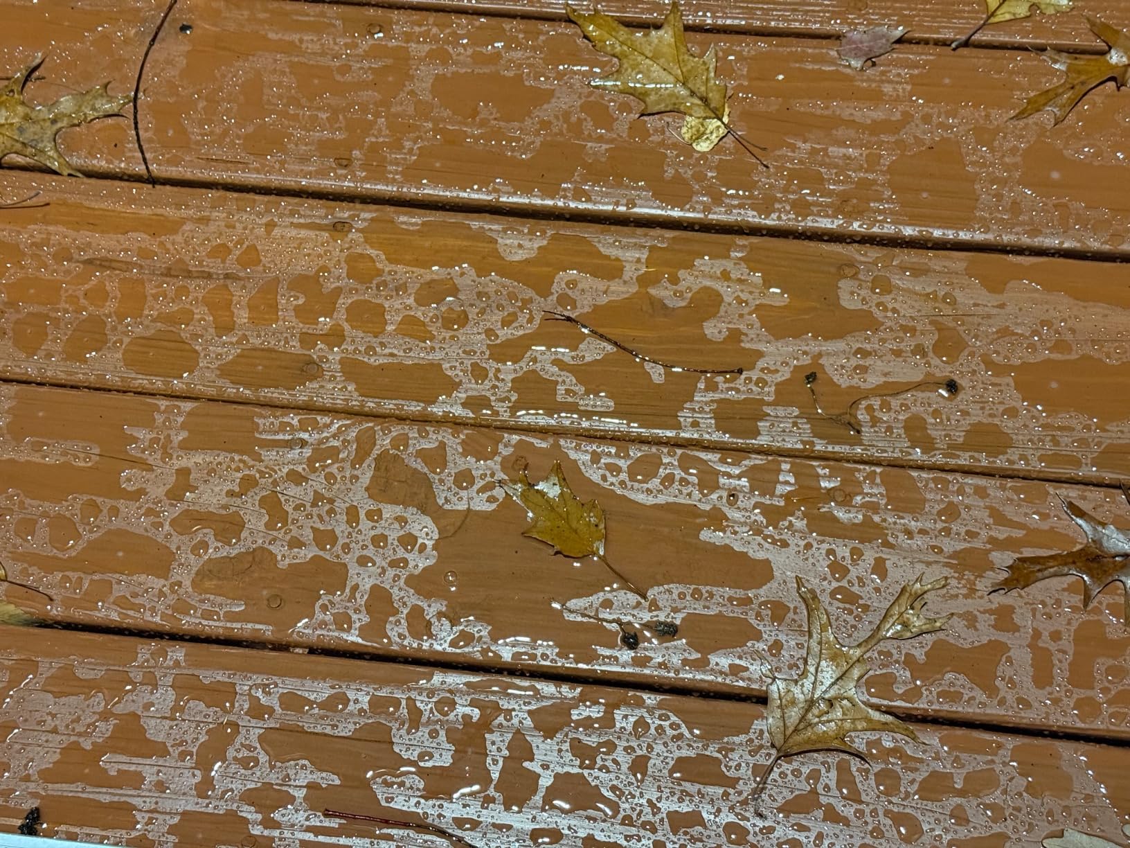 Thompson's WaterSeal Semi-Transparent Waterproofing Wood Stain and Sealer, Chestnut Brown, 1 Gallon - Customer Photo 1