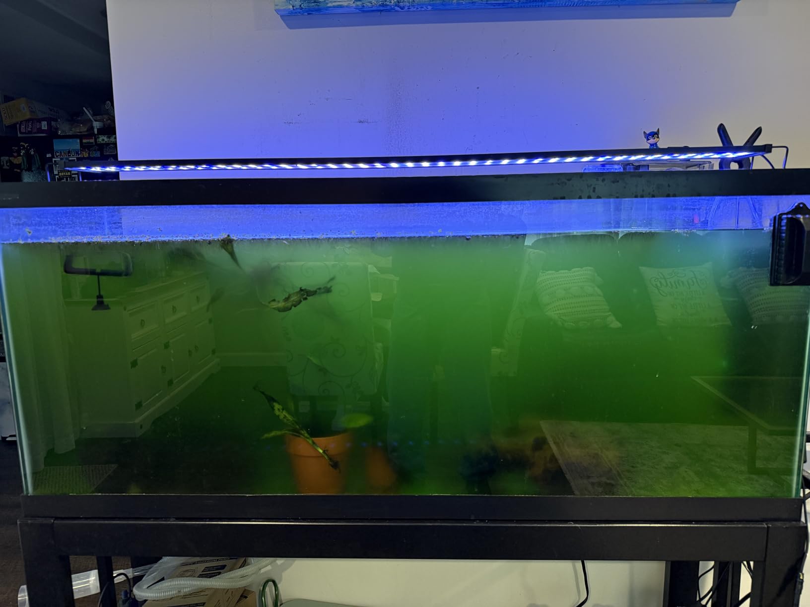 AquaMiracle Aquarium Filter 3-Stage in-Tank Filter Internal Fish Tank Filter Turtle Filter for 40-70 Gallon Fish Tanks with Dual Water Outlet & Aeration - Customer Photo 1