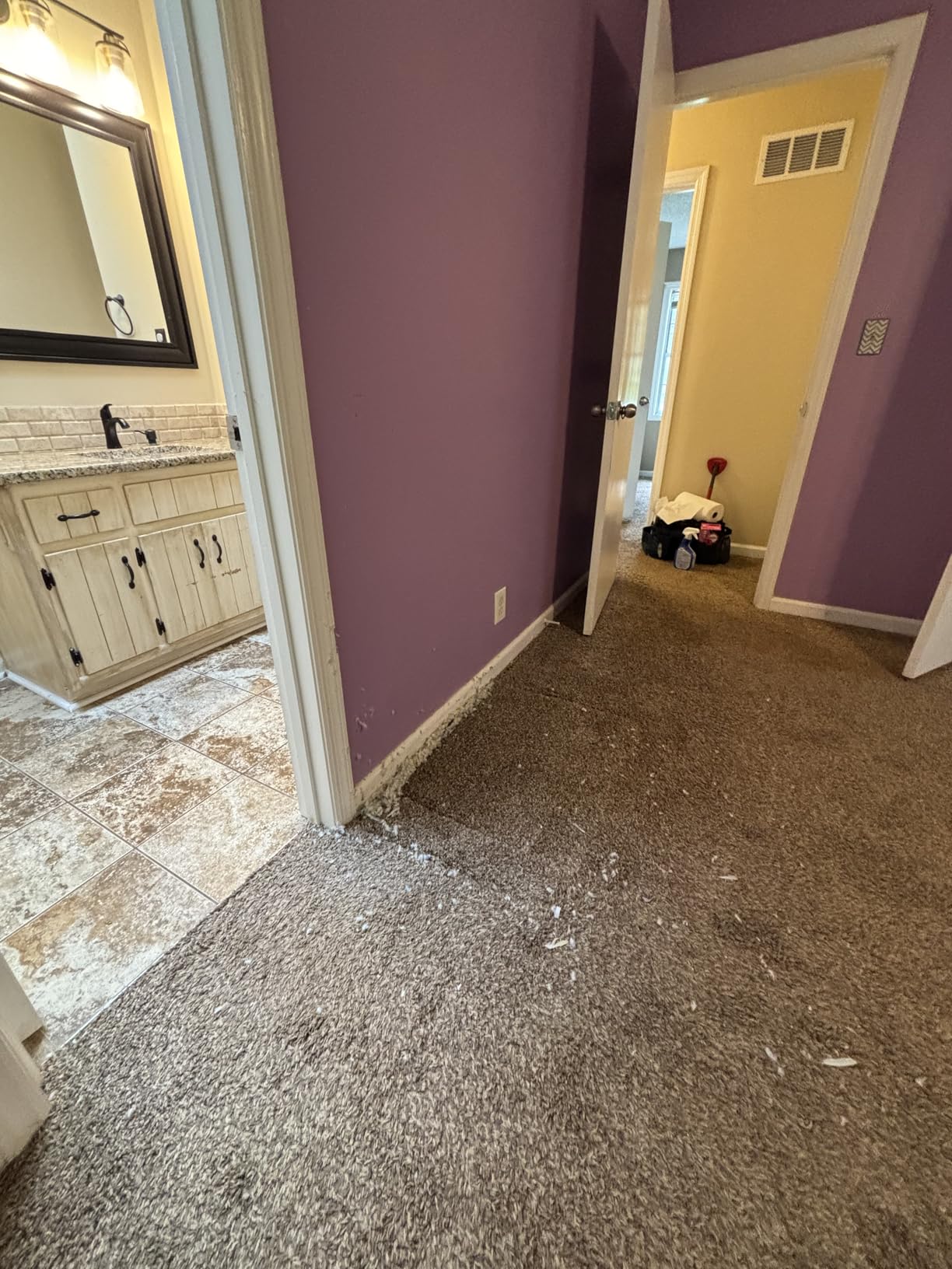 BISSELL CleanView Rewind Upright Bagless Vacuum with Automatic Cord Rewind & Active Wand, 3534 - Customer Photo 1