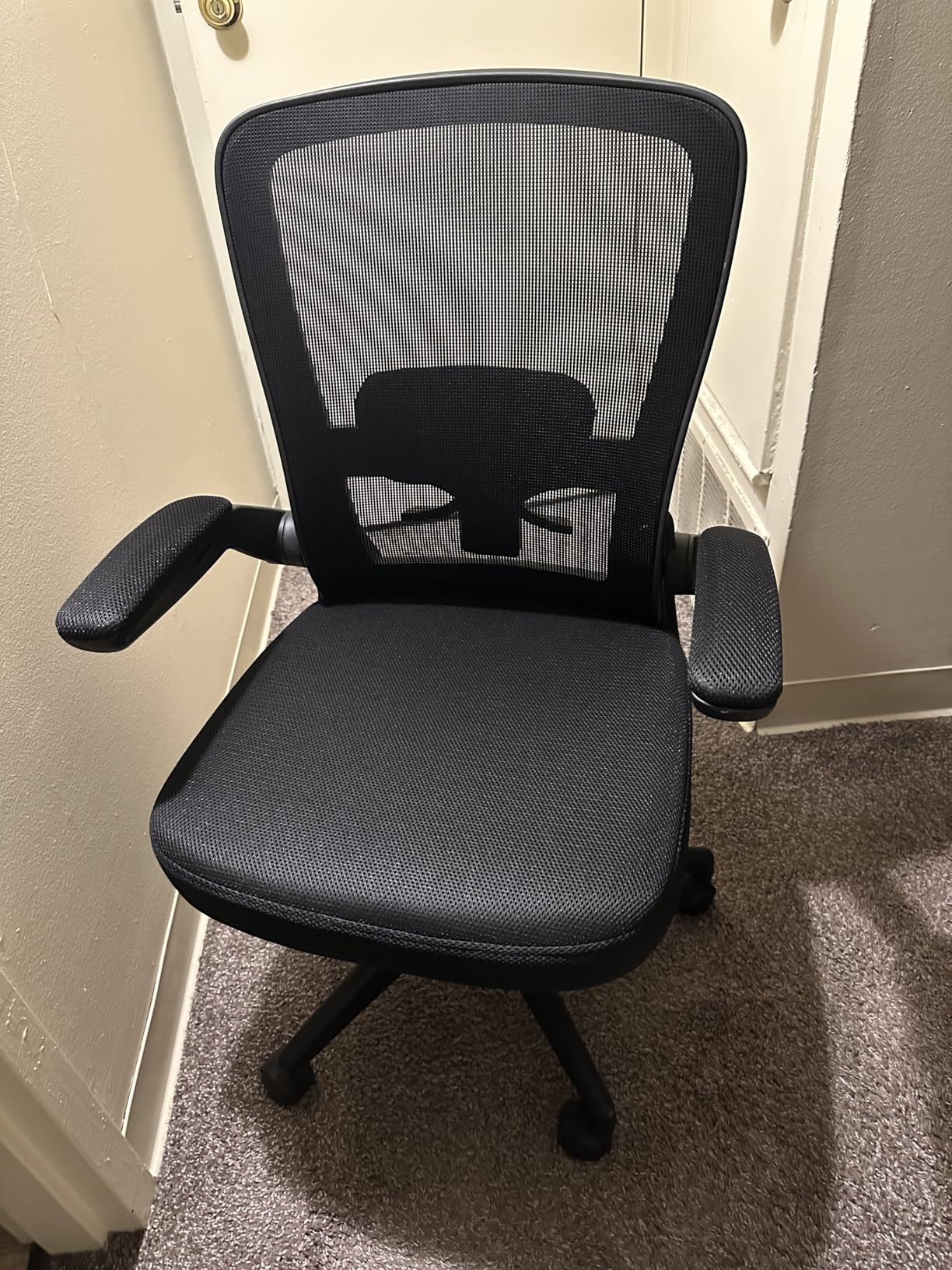 FelixKing Office Chair, Ergonomic Desk Chair Breathable Mesh Chairs Adjustable High Back Lumbar Support Flip-up Armrests, Executive Rolling Swivel Comfy Computer Chairs Home Office Black - Customer Photo 2