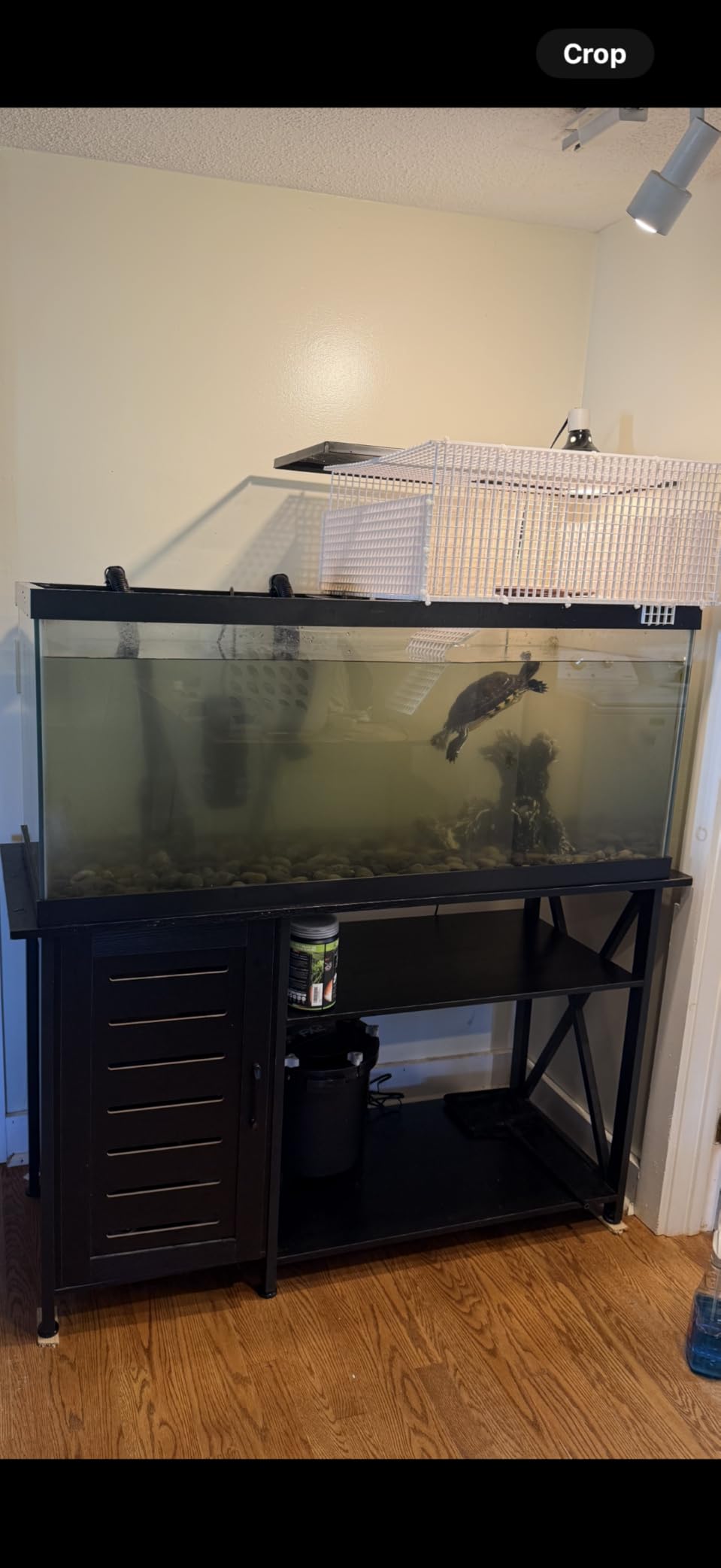 Fluval FX2 High Performance Canister Aquarium Filter - Multi-Stage Filtration, Built-in Powered Water Change System, and Basket-in-Basket Tray Design customer photo 1