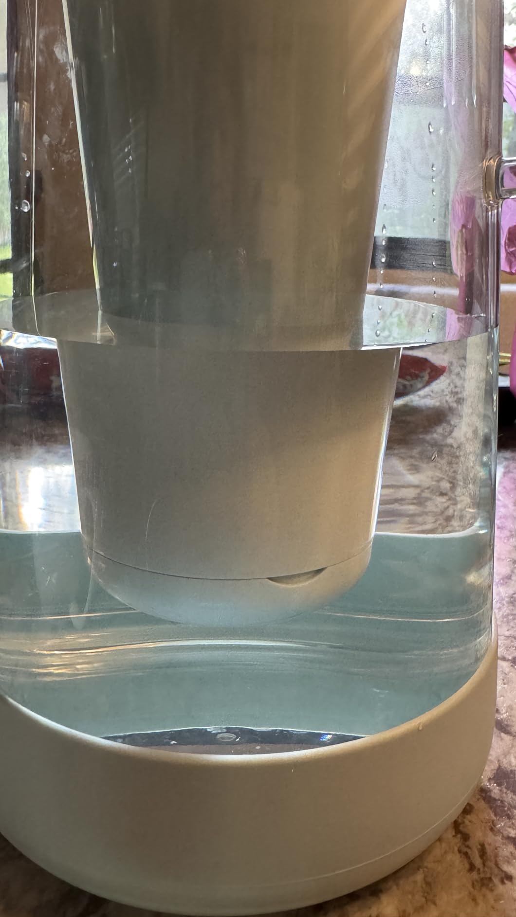 LifeStraw Home – Water Filter Pitcher, 10-Cup, Obsidian, BPA Free Designed for Everyday Protection Against Bacteria, parasites, microplastics, Lead, Mercury, PFAS and a Variety of Chemicals - Customer Photo 2