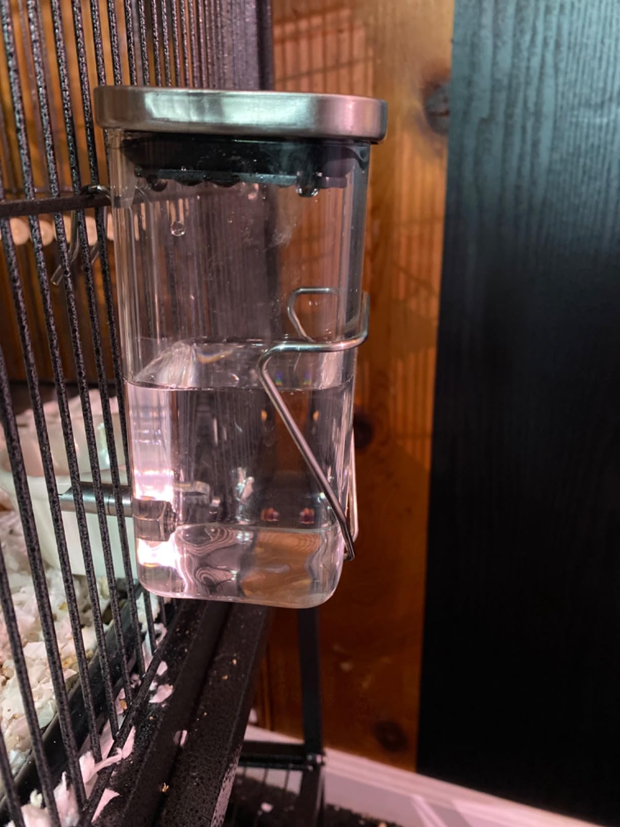 Guinea Pig Water Bottle No Drip, Rabbit Glass Waterer, Chinchilla Stainless Steel Nozzle Anti-Bite Water Dispenser for Small Animal, Bunny, Hamster, Sugar Glider and Rat(20.2oz) - Customer Photo 1