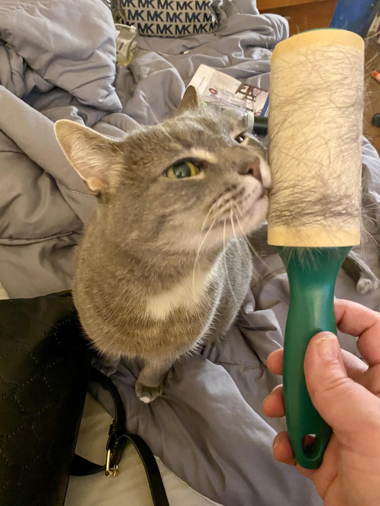 BISSELL Pet Hair Eraser Turbo Lift-Off Vacuum, w/Self-Cleaning Brush Roll, HEPA Filtration, Powerful Pet Hair Pickup with TurboBrush Pivot Tool & LED-lit dusting Brush & Crevice Tool, 3774F - Customer Photo 2
