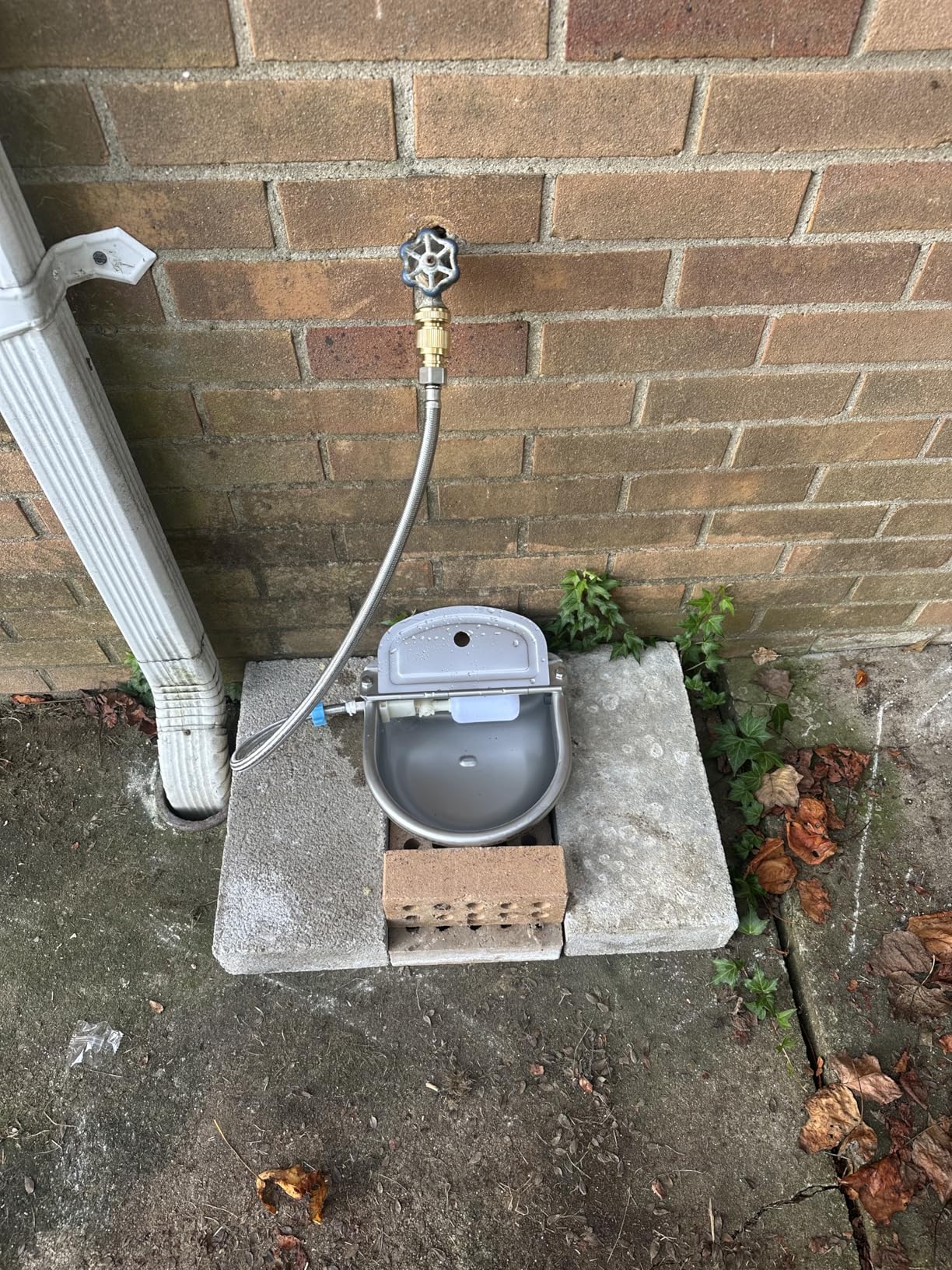 Automatic Animal Drinking Water Bowl, 304 Stainless Steel Waterer for Dog Horse Goat Pig Cow, Livestock Water Trough Dispenser with Pipe Hose, 2 Float Valves, Quick Connecter, Expansion Bolt - Customer Photo 1