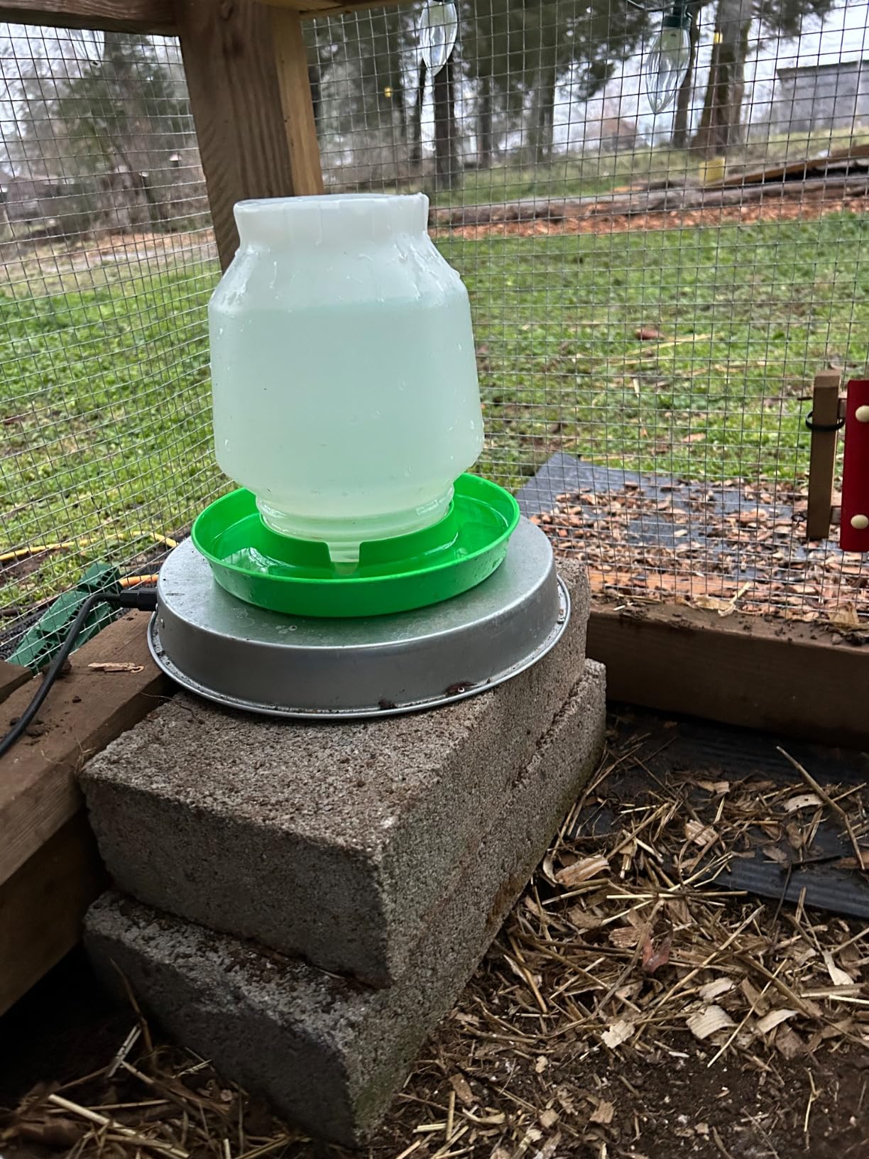 Chicken Water Heater, 110 Watt Chicken Waterer Heated Base 11 in for Metal Poultry Founts, Chicken Drinker Heater for Winter - Customer Photo 1
