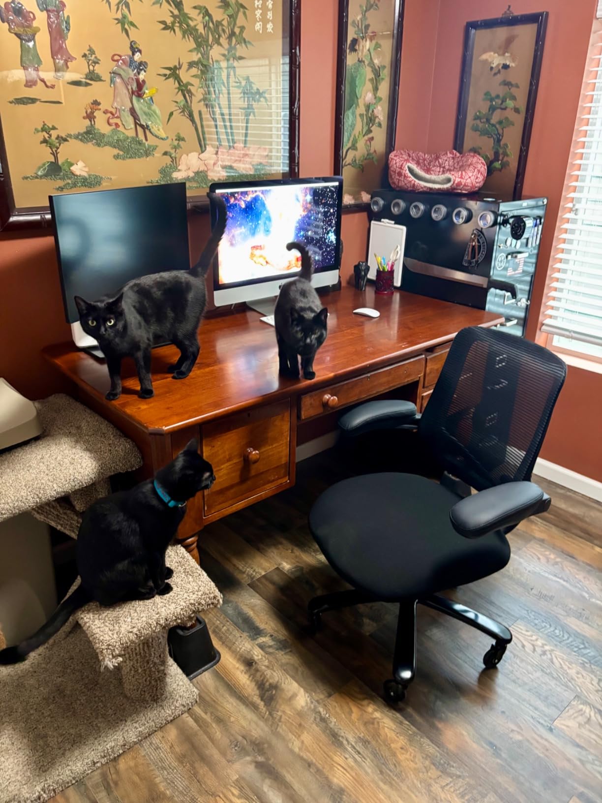 500lbs Big and Tall Office Chair - Heavy Duty Mesh Ergonomic Desk Chair, High Back Computer Chair - Flip-up Armrests, Wide Thick Seat Cushion, Quiet Wheels - Customer Photo 2