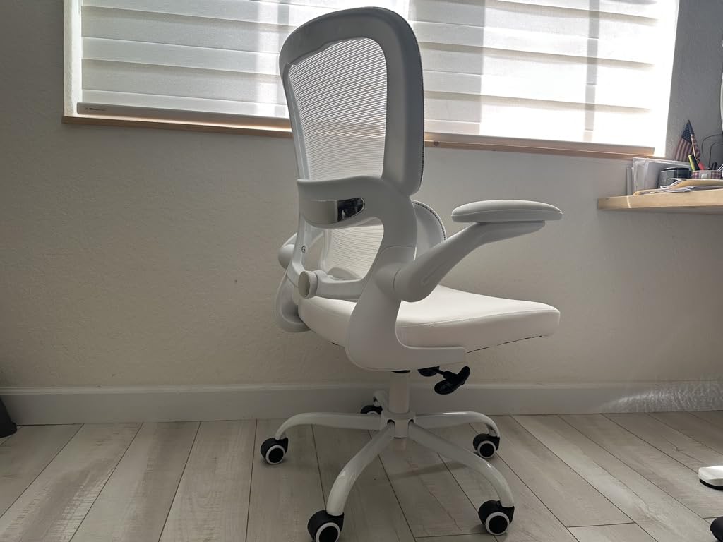 TRALT Office Chair - Ergonomic Desk Chair with Adjustable Lumbar Support, Mesh Computer Chair, Executive Chairs for Home Office Comfortable Lumbar Support (Black) - Customer Photo 2