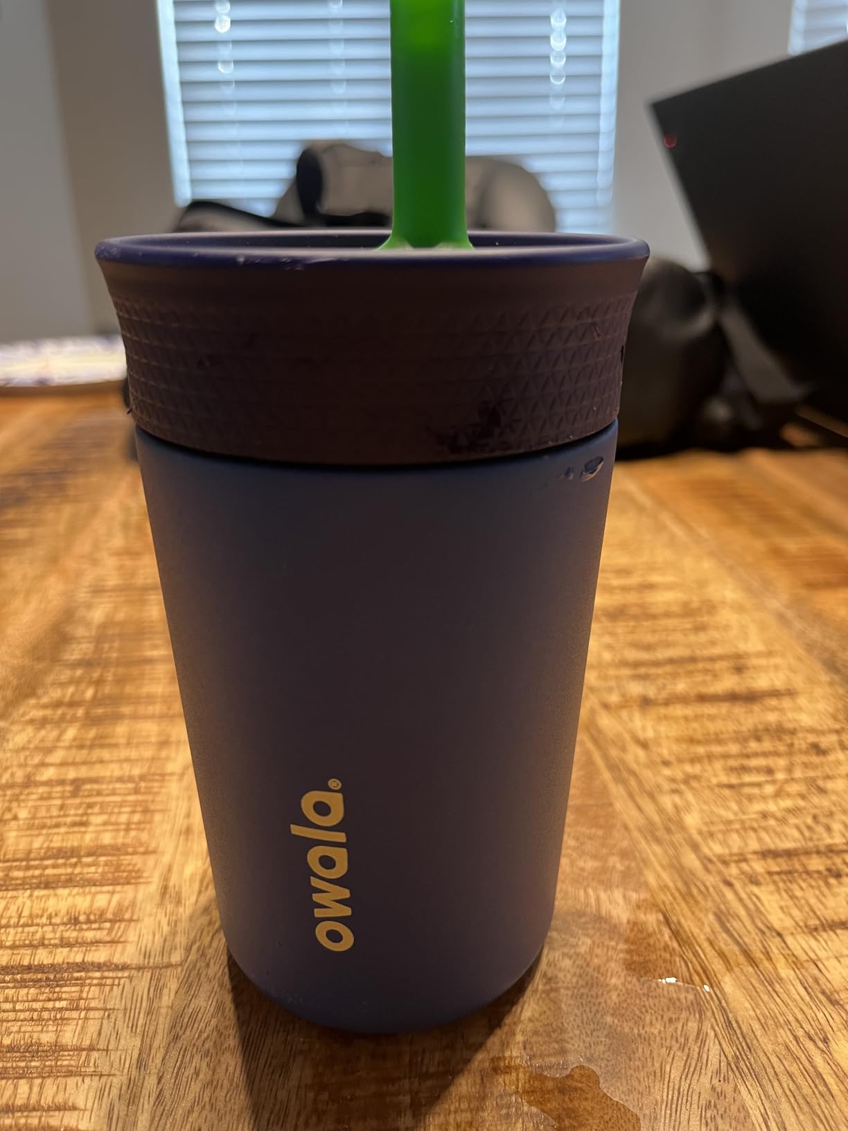 Owala Kids Insulation Stainless Steel Tumbler with Spill Resistant Flexible Straw, Easy to Clean, Kids Water Bottle, Great for Travel, Dishwasher Safe, 12 Oz, Blue and Light Green (Turtley Awesome) - Customer Photo 1