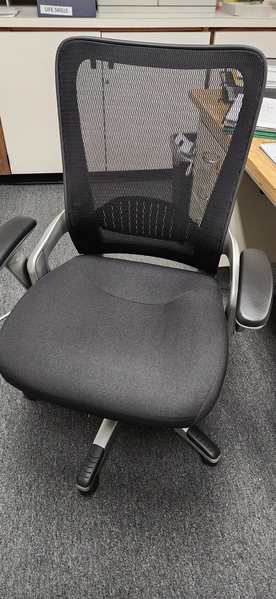 SUNNOW Office Chair, Ergonomic Computer Desk Chair, Sturdy Executive Task Chair - Adjustable Lumbar Support, Flip-up Arms, Tilt Function, Comfy Wide Seat, Swivel Mesh Home Office Desk Chairs (Black) - Customer Photo 2