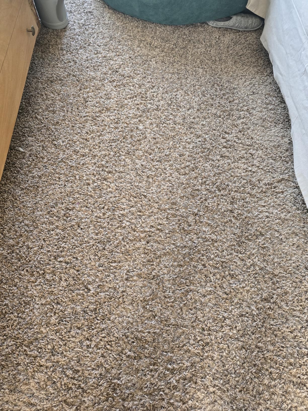 Bissell CleanView Swivel Vacuum with Triple Action Brush Roll, Swivel Steering, Extension Wand, Easy-Empty Dirt Tank, Multi-Cyclonic Suction System, New 2024 Model - Customer Photo 3