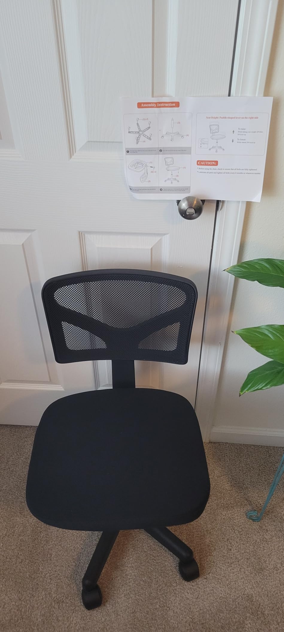 Sweetcrispy Office Computer Desk Chair, Ergonomic Low-Back Mesh Rolling Work Swivel Chairs with Wheels, Armless Comfortable Seat Lumbar Support for Home, Bedroom, Study, Student, Adults, Black - Customer Photo 1