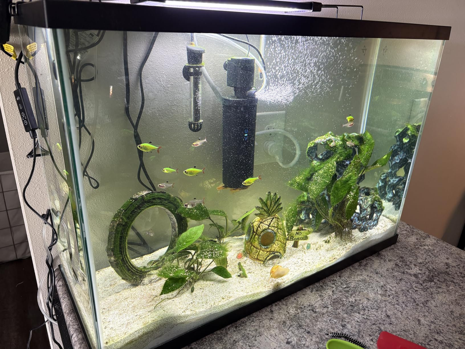 600GPH UV Aquarium Filter for 75-300 Gal Tank, Large Fish Turtle Tank Green Water Clean Machine Submersible Canister Filter Powerful Pump Pond Filter for Saltwater Freshwater Crystal Green Killing - Customer Photo 1