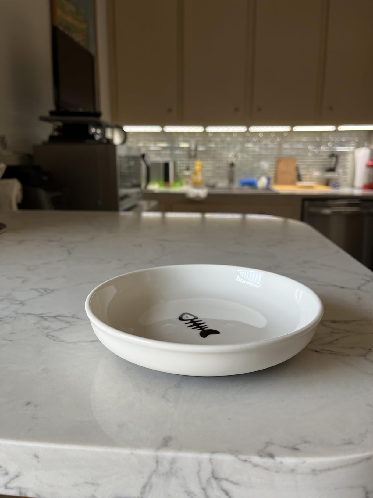 No Spill Cat Bowls,Cat Food Bowl,Anti Whisker Fatigue Healthy Ceramic Cats Dishes Set for Indoor Cats,Shallow Wide Kitten Plates for Food and Water,Non-Slip Silicone Bottom,3 Pack - Customer Photo 2
