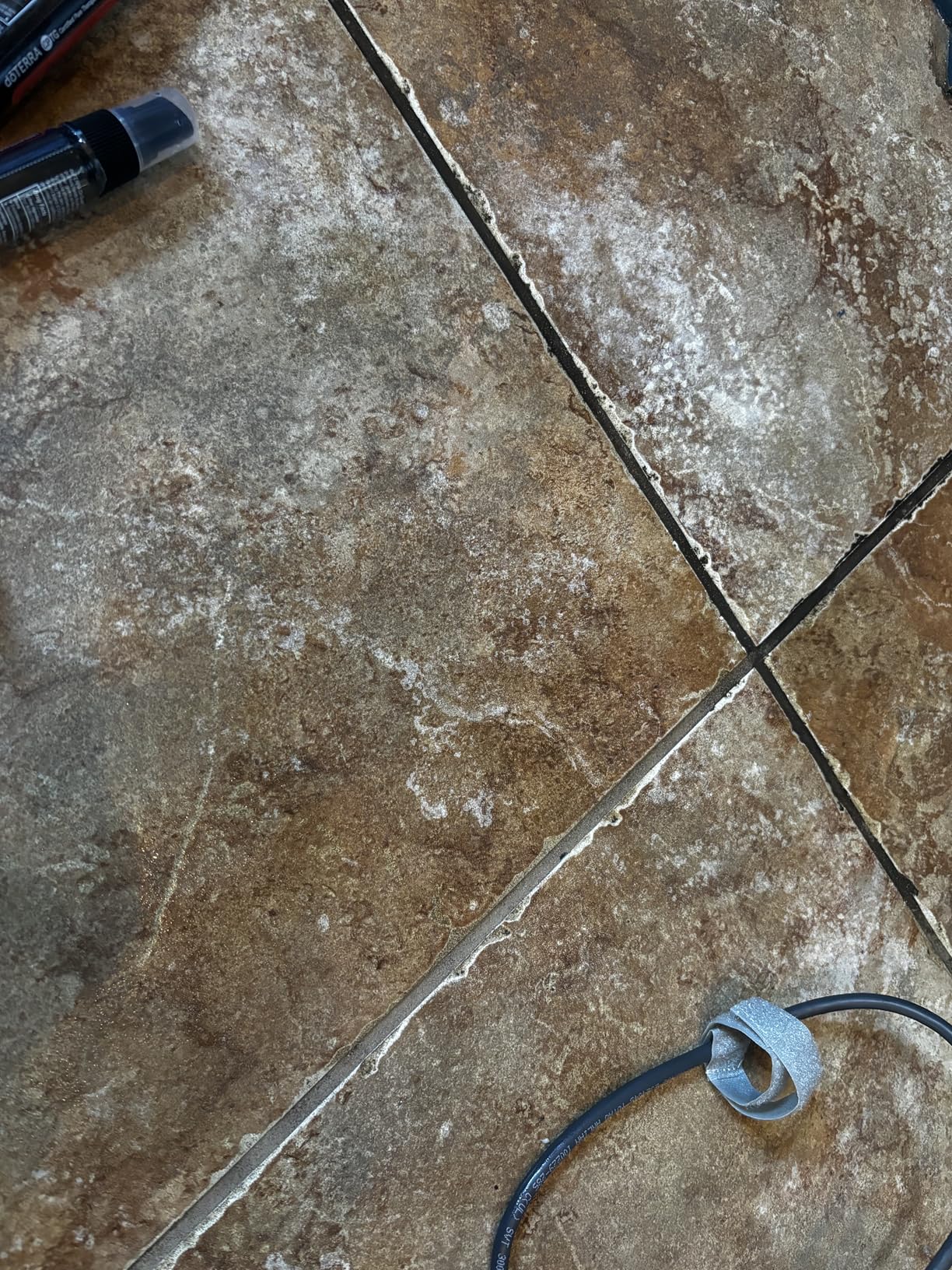 BISSELL® Steam Shot™ OmniReach handheld portable steam cleaner for tile, grout, windows, bathrooms, kitchens, fabric steaming tool Customer Review BISSELL® Steam Shot™ OmniReach handheld portable steam cleaner for tile, grout, windows, bathrooms, kitchens, fabric steaming tool - Customer Photo 2